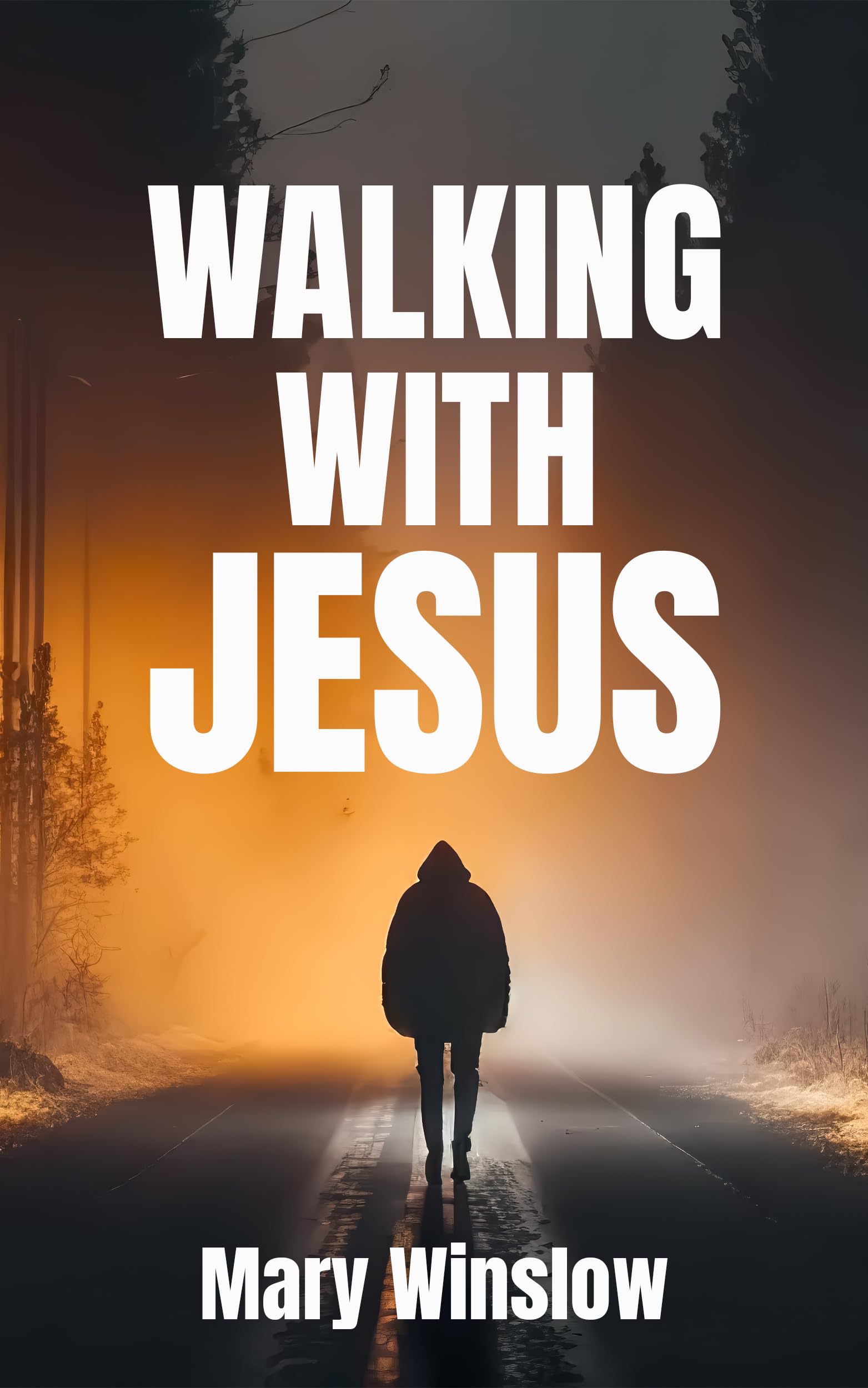 Amazon.com: Mary Winslow: books, biography, latest update