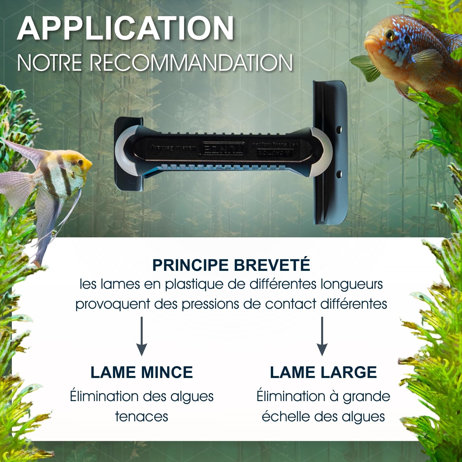 Tunze Care Magnet Strong+ I Aquarienreiniger für 20-25 mm Glasstärke I Scheibenreiniger mit abgerundeter Edelstahlklinge I Algenmagnet mit stark minimierter Kratzgefahr für Süßwasseraquarien