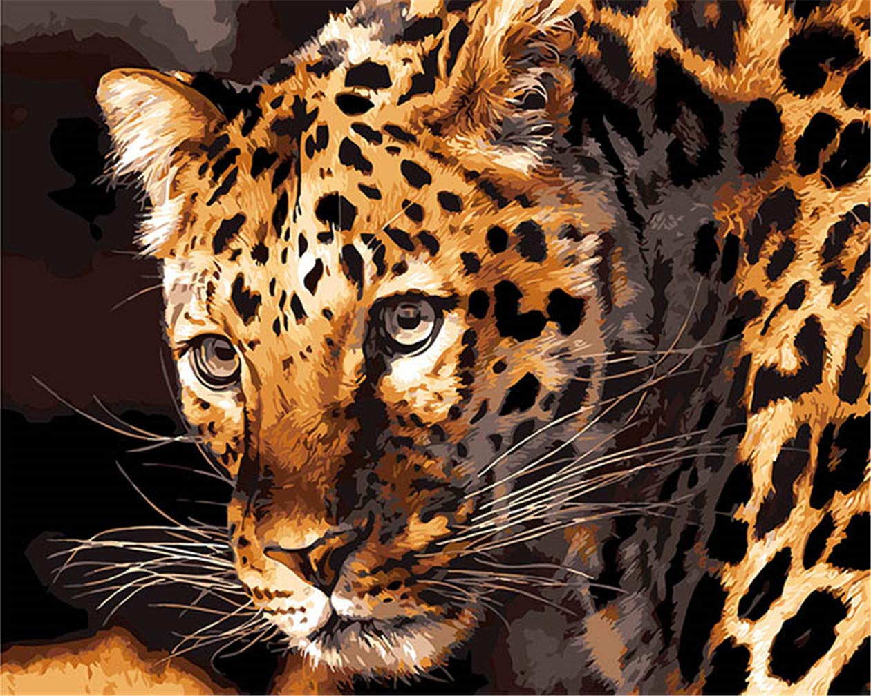 Awesocrafts Gold Paint By Numbers Kits, Leopard's Gaze Number Painting For Adults 16X20 Inch (Leopard, No Frame)