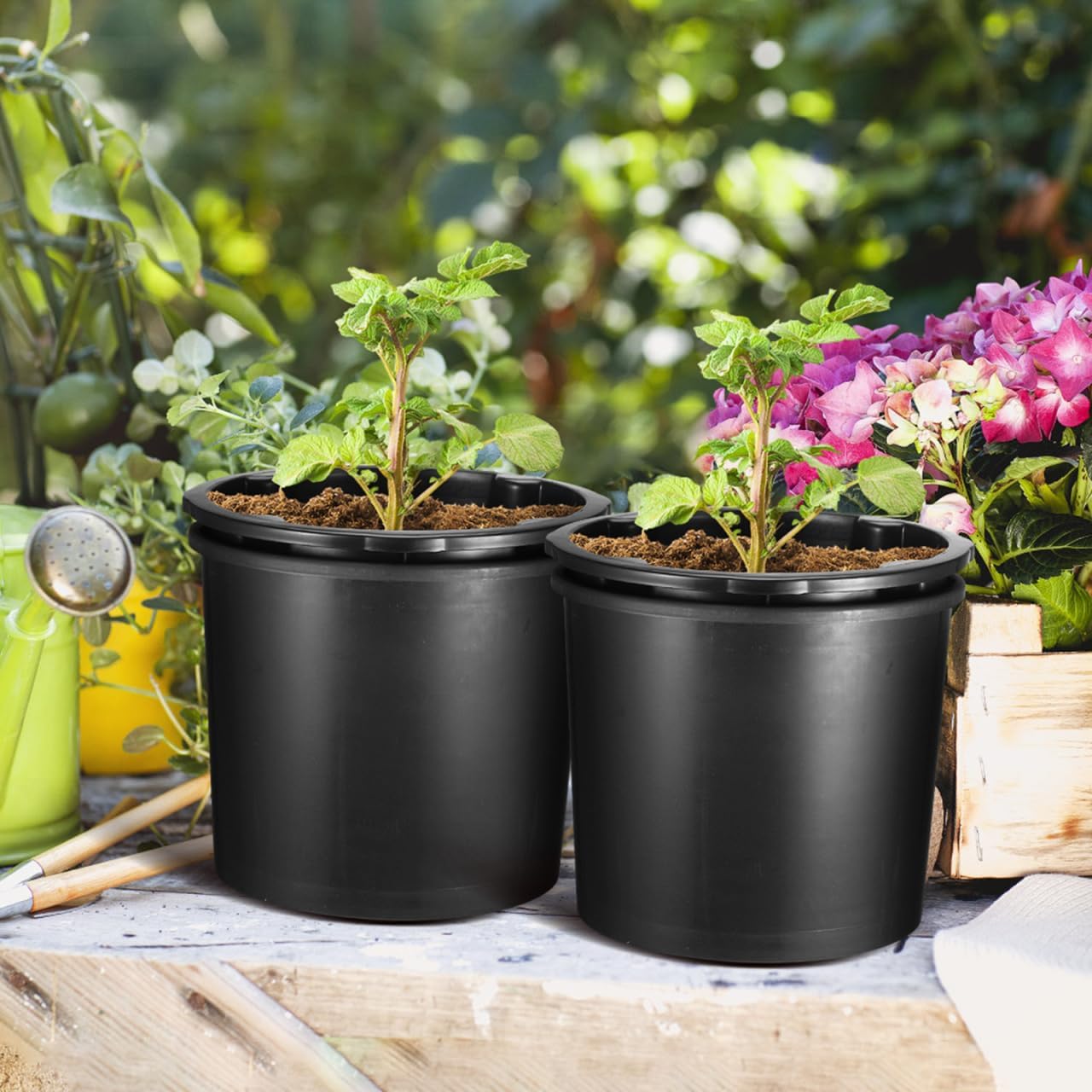 Sosoport Garden Plant Pot Potato Planter Plant Grow Bucket Tomato Groeing Pot with Drainage Hole for Vegetables Fruits Flowers