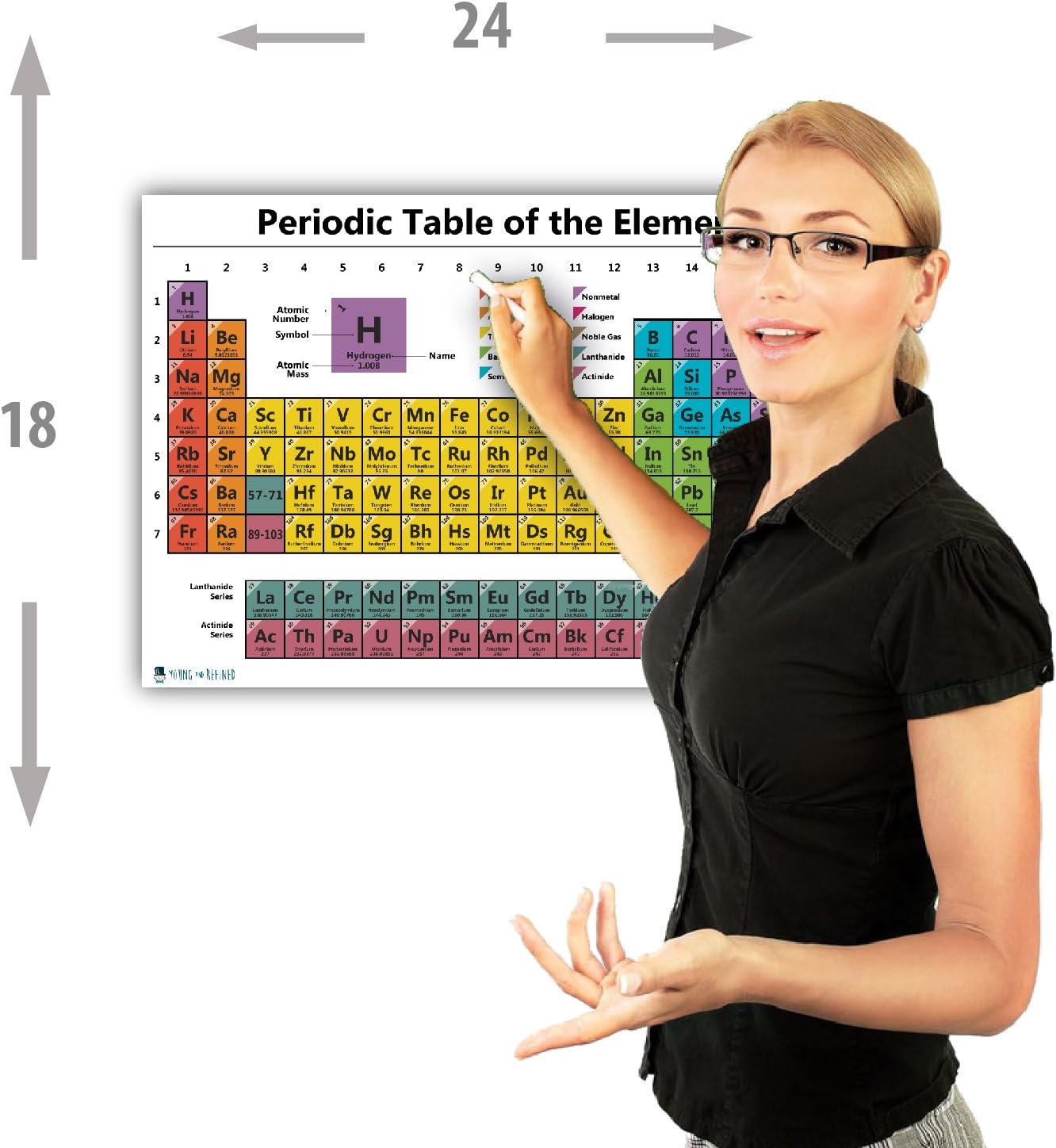 Periodic Table Science Laminated Chart Education White Atomic Classroom Poster-Premium Educator Atomic Number Guide 2021 Edition (18 x 24 inches) Young N Refined