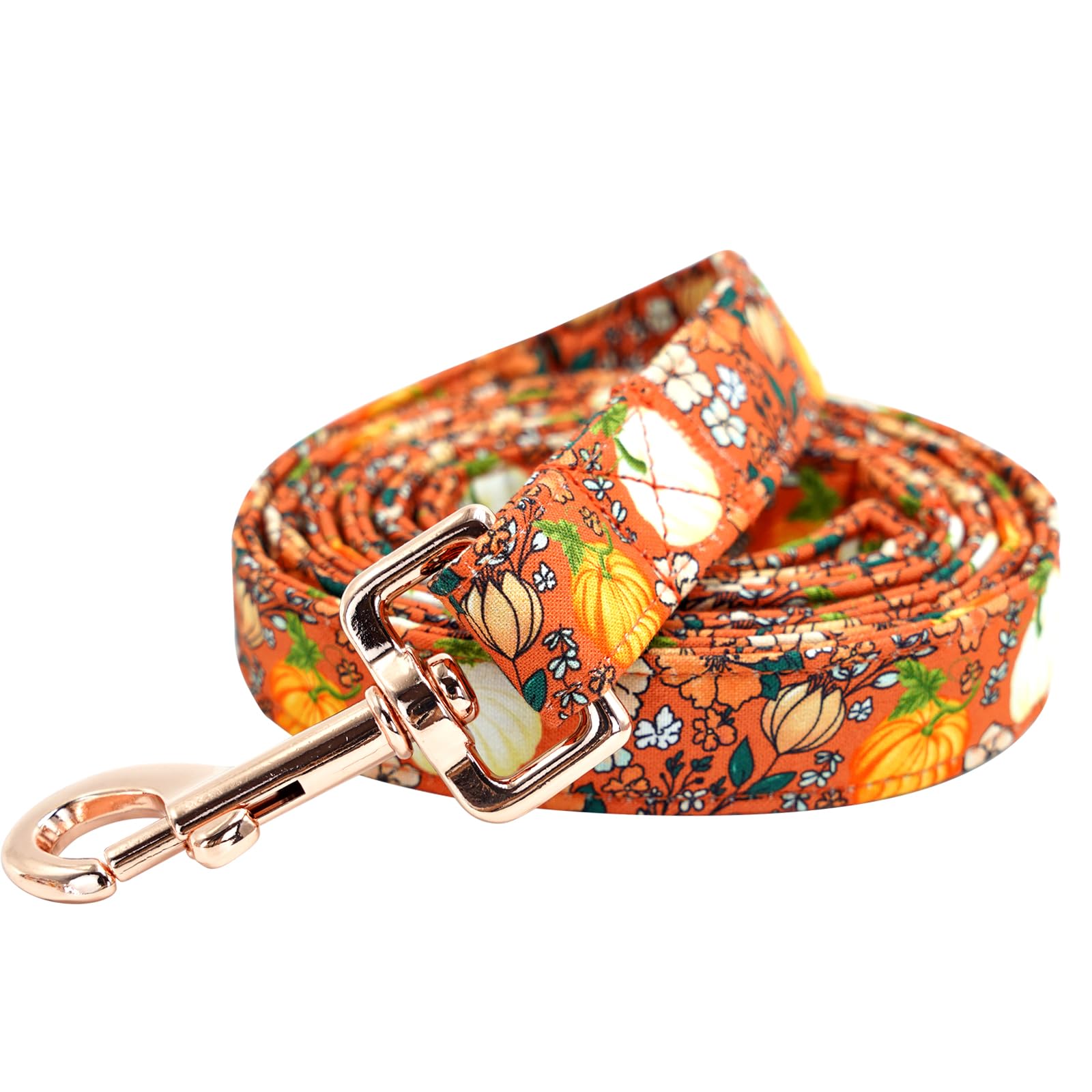 Elegant little tail Dog Leash, Halloween Pet Leashes Pumpkin Female or Male Durable Cotton Leash Soft Handle Pet Puppy Leashes for Small Medium Large Dogs — image 1
