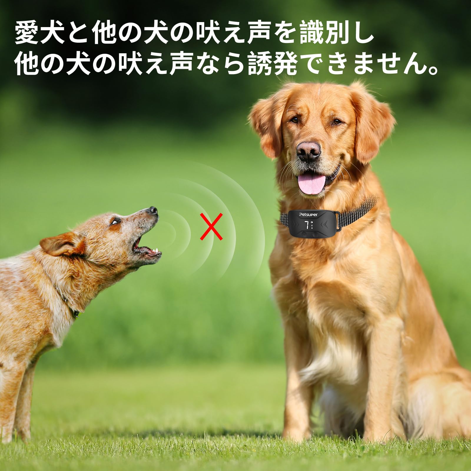 Amazon | Petsuper 無駄吠え防止首輪 犬むだぼえ防止 犬 しつけ首輪 全