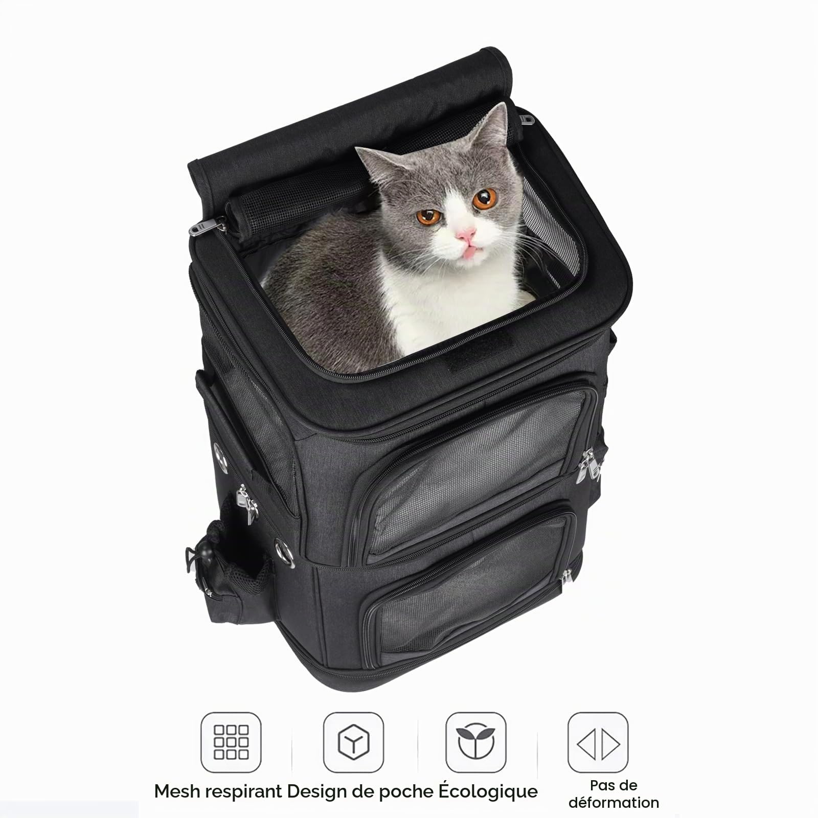 Sac à Dos Double 2 en 1 pour Petits Chats et Chiens Sac à Dos de Transport à Double Compartiment a roulettes Sac Transport Chat pour Les Voyages,Randonnée,Camping, Grande Taille (Noir)