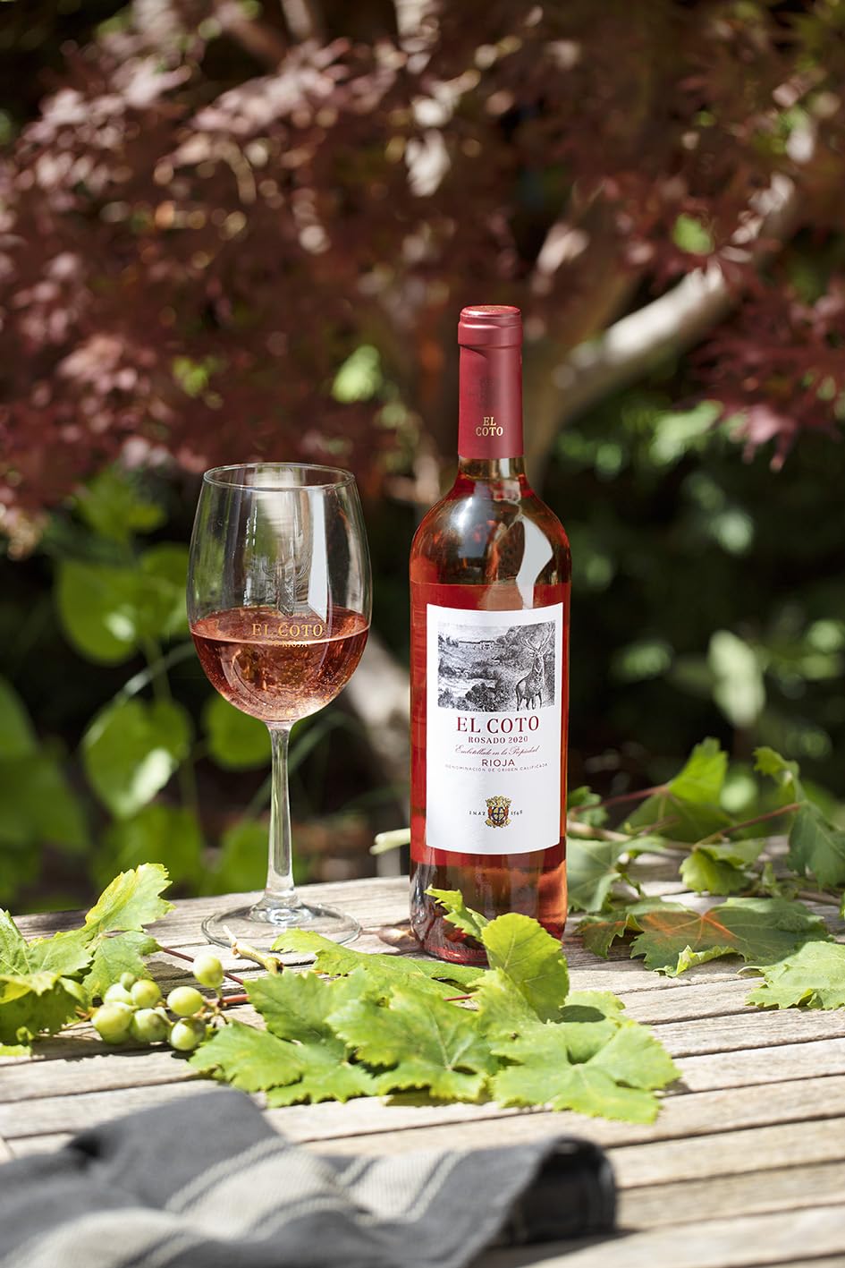 El Coto Rosado | Vino Rosado DOC La Rioja | Pack 6 botellas 750 ml | Tempranillo y Garnacha | Perfecto para Acompañar Aperitivos, Pastas, Cocina Oriental o Ensaladas