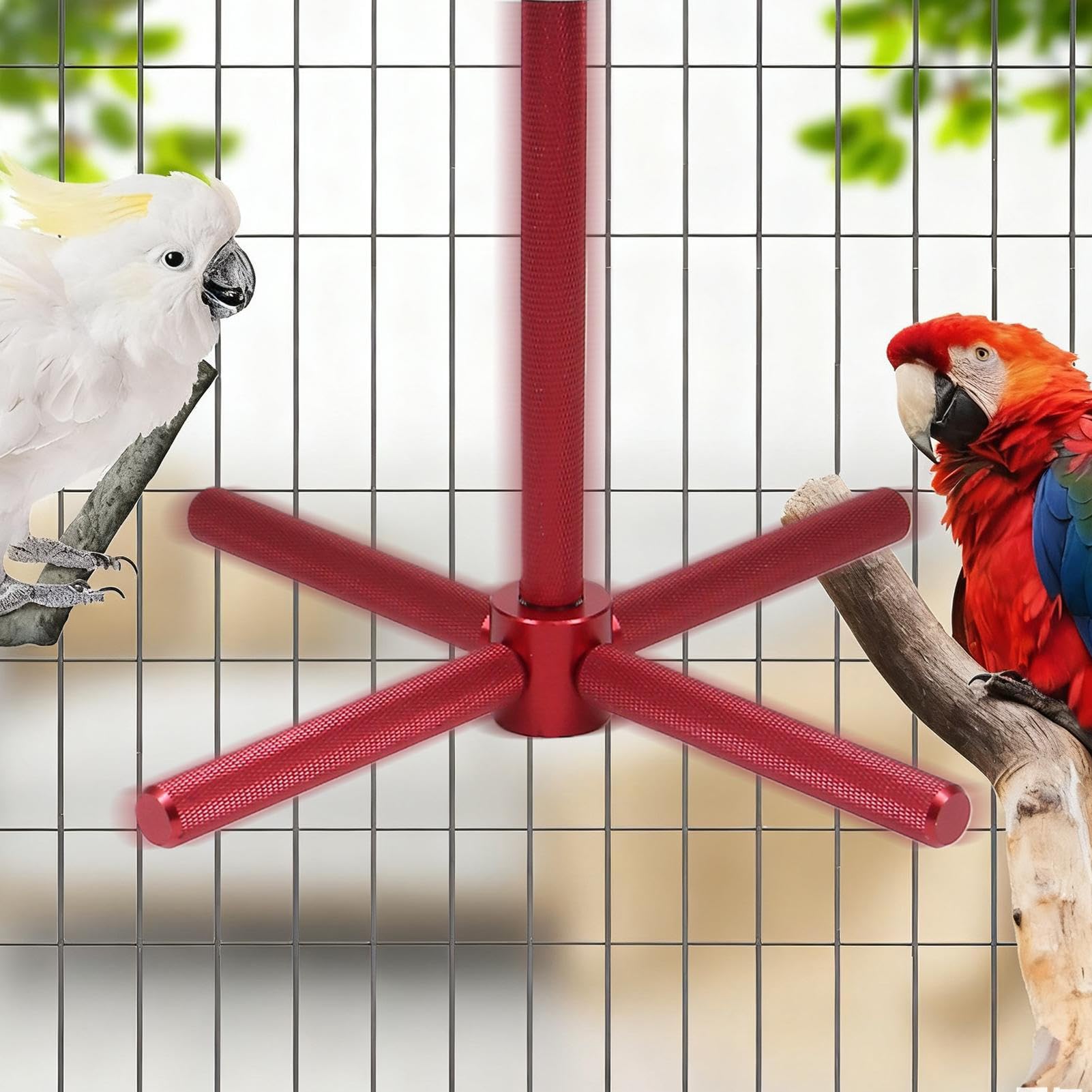 Calopsittes Rotatif à Mâcher Interactif | Accessoires de Cage à Perchoir pour Perruches Pour Cage Intérieur Maison Conure Inséparables Canari Mastication Exercice