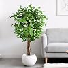 Product Photo 5