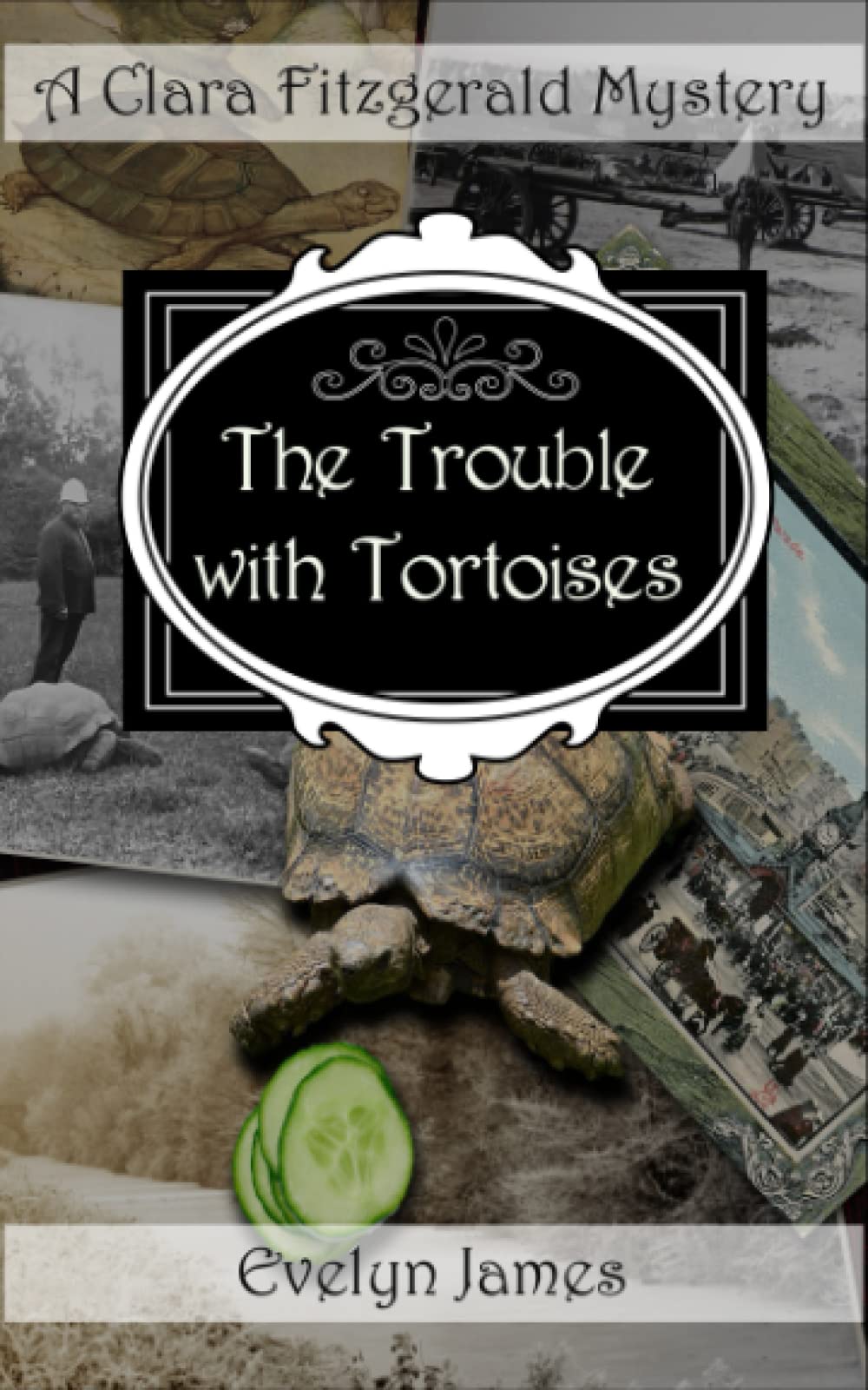 The Trouble With Tortoises: A Clara Fitzgerald Mystery (The Clara Fitzgerald Mysteries)