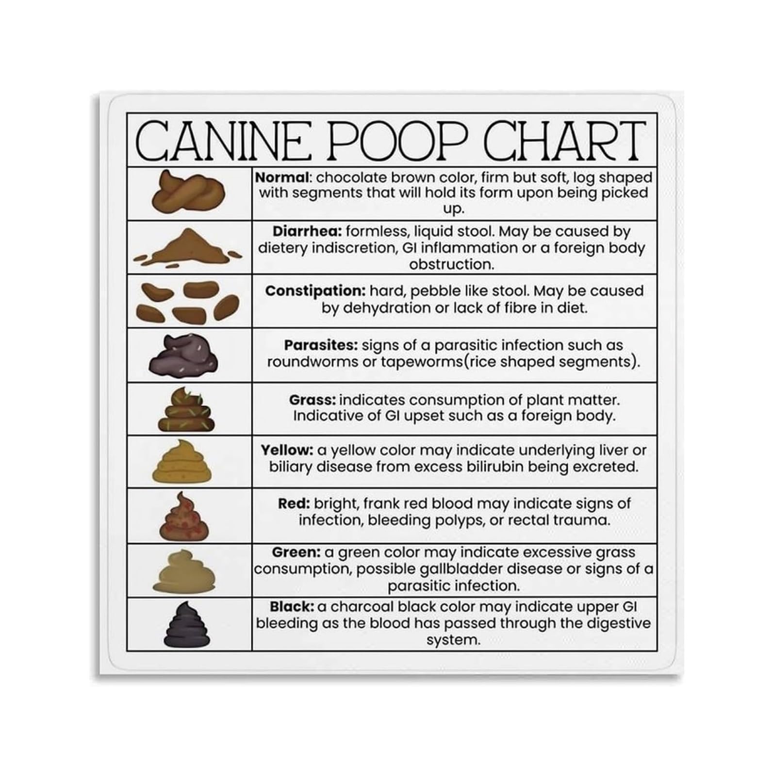 PAJPXPCD Veterinary Office Decor Dog Health Information Chart Pet Care Poster Canvas Wall-Art Print for Waiting Room Home Study Pet Lover Gift