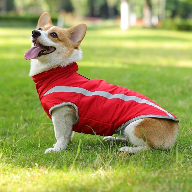 Foto 6 de 7 de FEimaX Abrigo para Perros de Invierno Chaqueta Impermeable Ropa a Prueba de Viento con Forro Polar y Orificio…