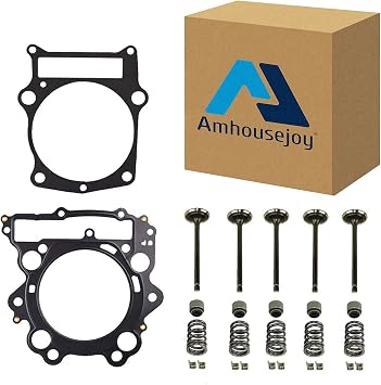 Cylinder Intake Exhaust Valve Kit Fit for Yamaha Raptor 660R YFM660R 4X4 2001 2002 2003 2004 2005