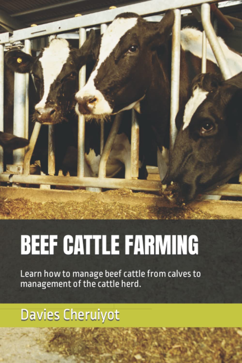 BEEF CATTLE FARMING: Learn how to manage beef cattle from calves to management of the cattle herd.