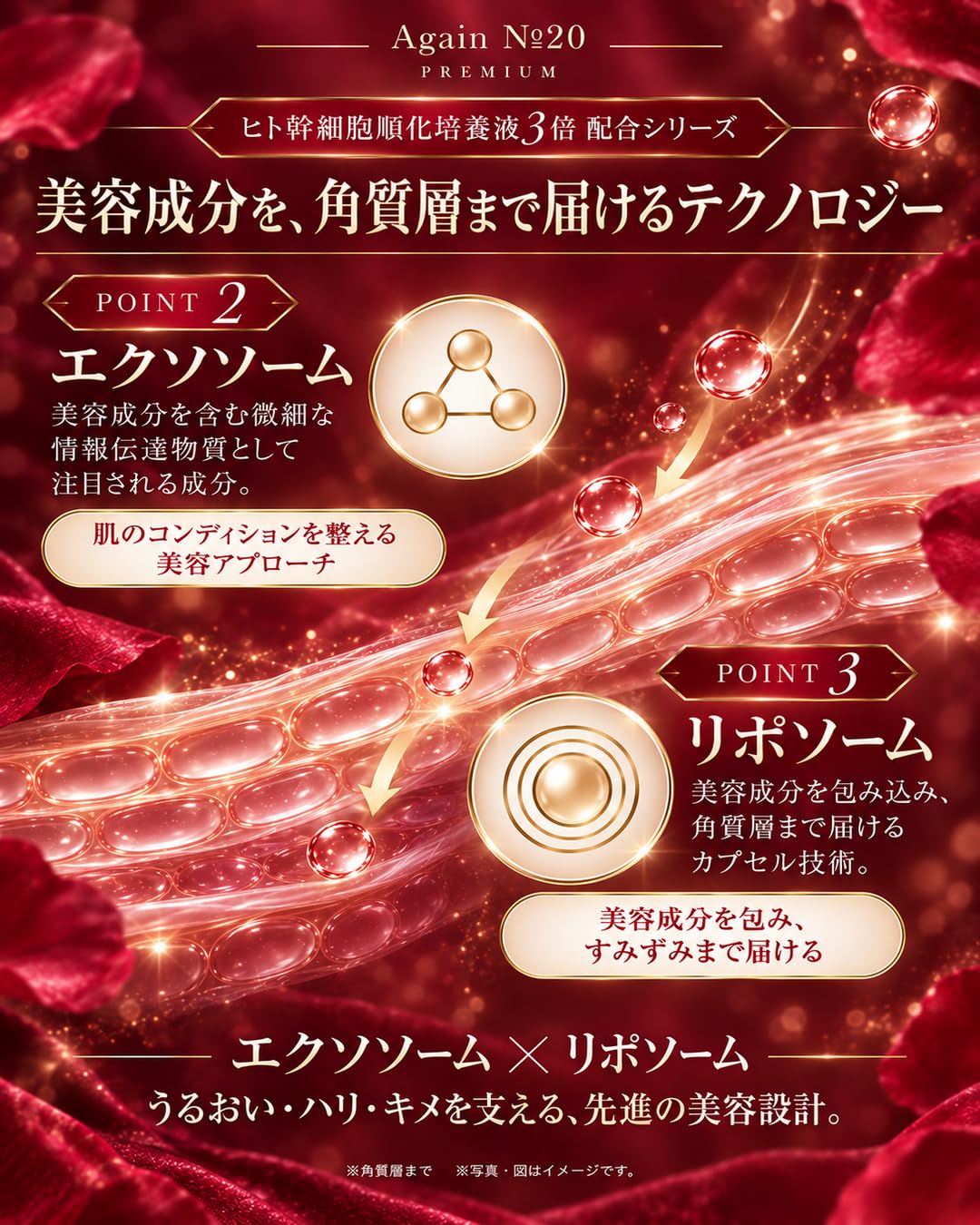 アゲインナンバー20 プレミアム ボリュームセット Amazon | 日本メディカルシステム アゲインナンバー20 プレミアム