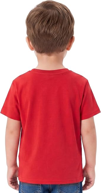 THOMAS & FRIENDS Thomas The Tank Engine T-Shirt, Percy & Rosie Boys T Shirt, Short Sleeve Kids T Shirt, Ages 1 to 8 Years