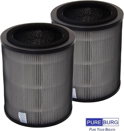 Miniatura 5 de PUREBURG Filtros de repuesto JF100-RF compatibles con purificador de aire Jafända JF100 Jafanda, 2 unidades H13 True HEPA de carbón activado de