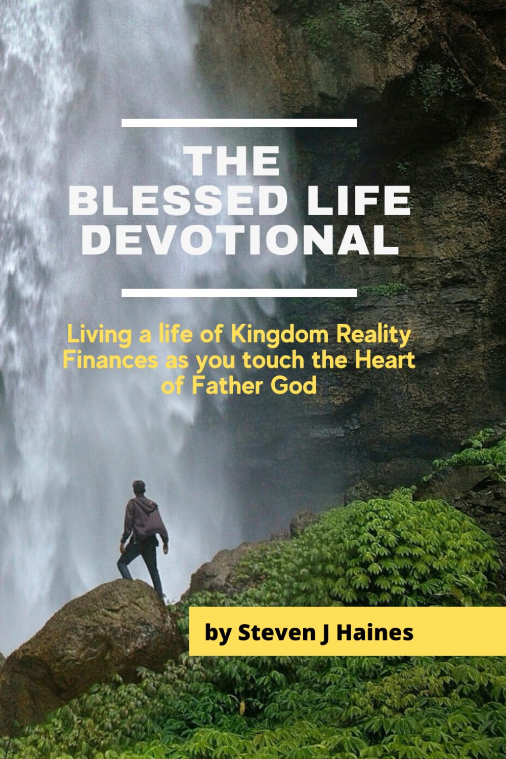 The Blessed Life Devotional: Living a life of Kingdom Reality Finances as you touch the Heart of Father God