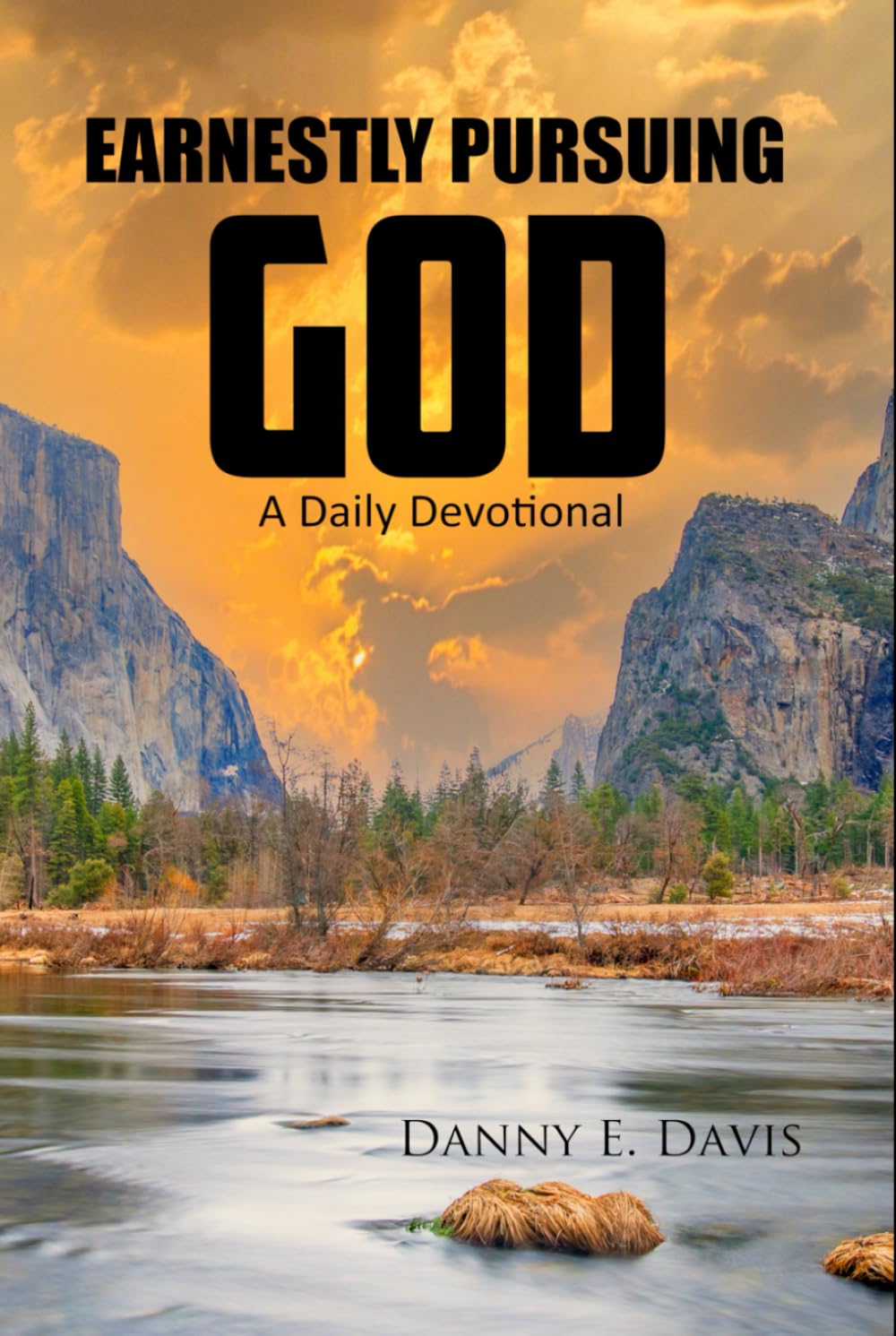 Earnestly Pursuing God: A Daily Devotional
