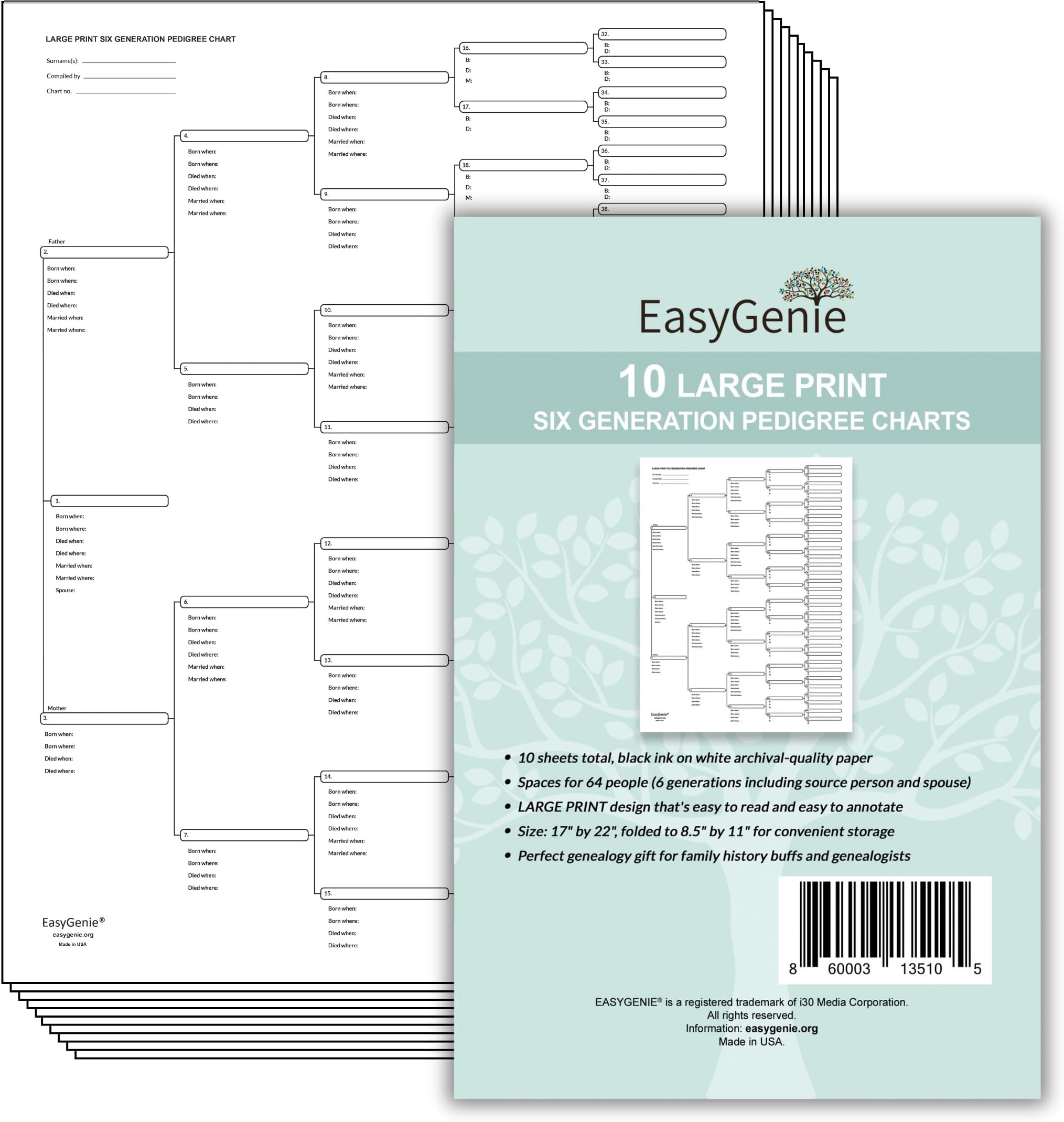 EASYGENIE 10 Large Print Six Generation Pedigree Charts for Ancestry | Archival-Quality Genealogy Forms