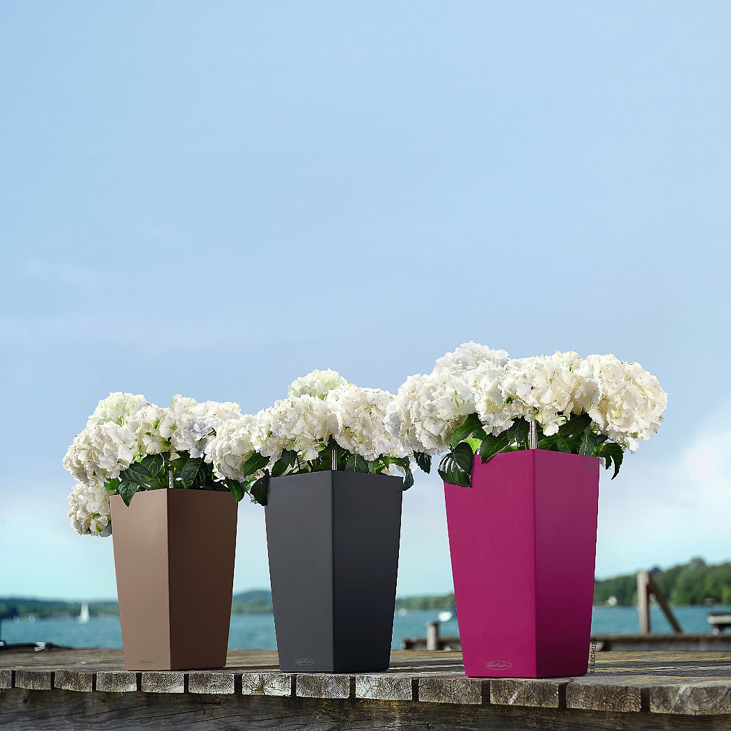 Lechuza Vaso Fioriera CUBICO Color 30x30 H56 con Auto irrigazione Grigio Ardesia