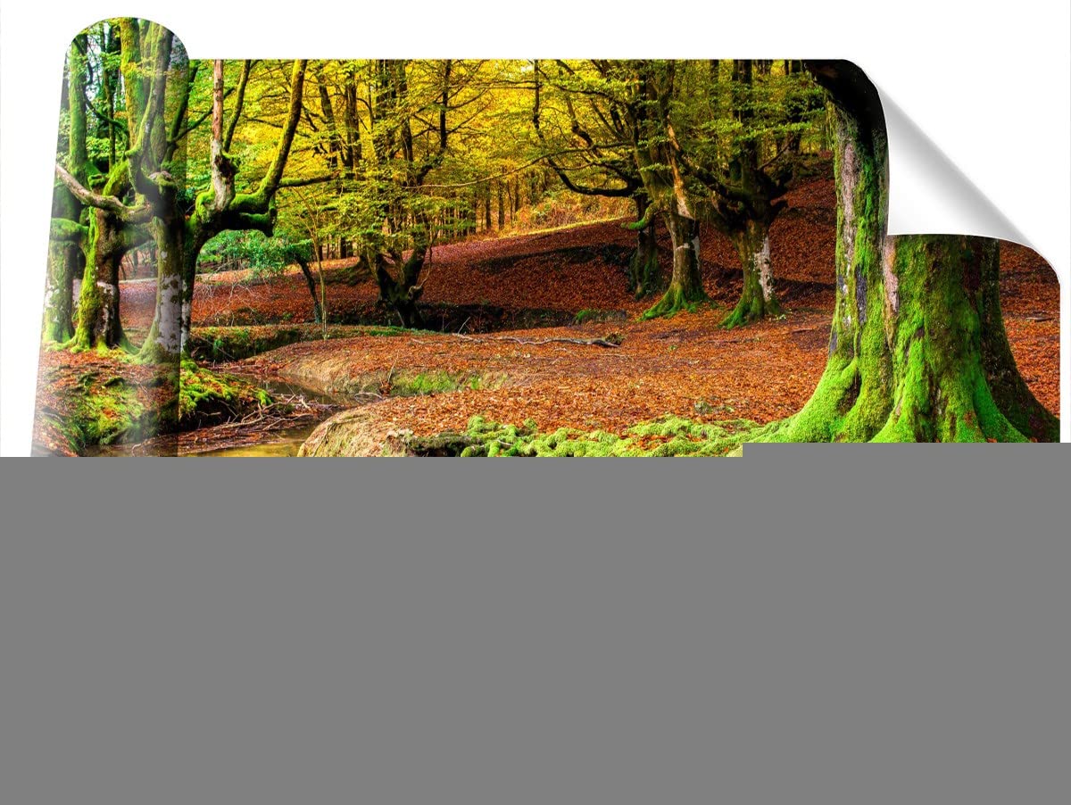 Papier peint camouflage pour salon déco forêt automnale moderne Tulup