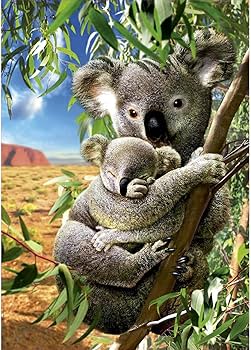 koalaページ Koalas - Bellwether Media, Inc.