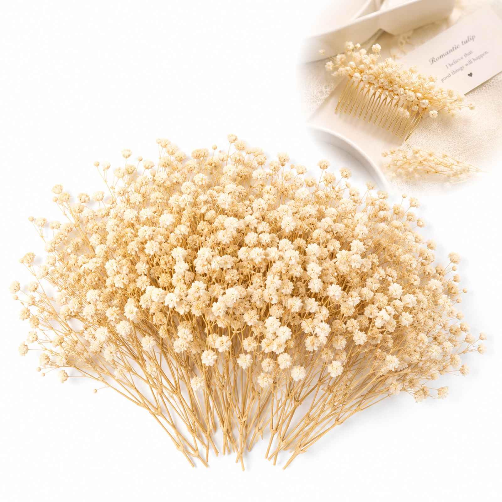 WHJYCC 100Pcs Natural Dried Gypsophila Mini Flowers for Resin Crafts, DIY Art and Wedding Bouquets - Preserved Mini Blooms with Stems in Protective Case, Ideal for Scrapbooking (Beige-White)