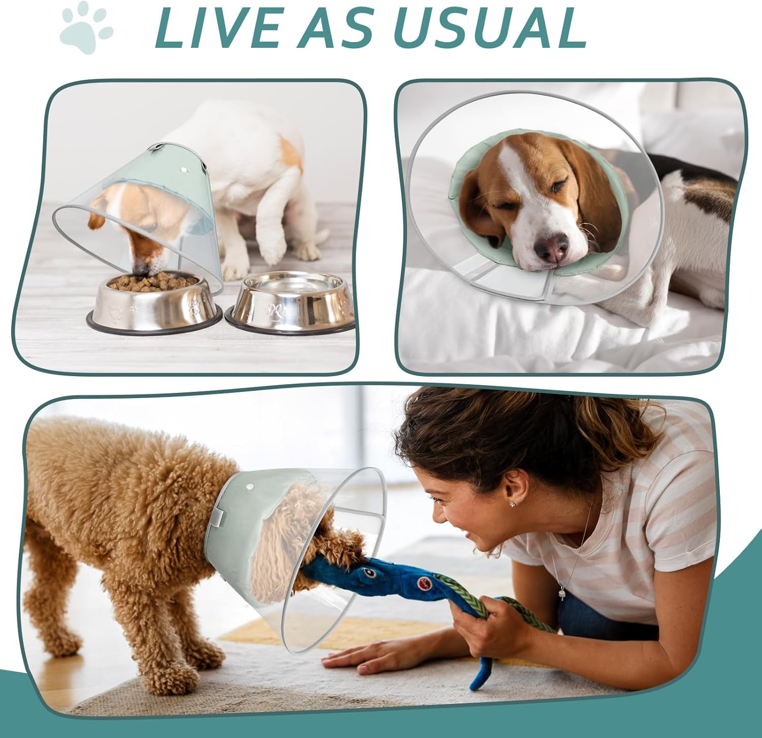 Dog Cone Collar with Snap-on Detachable Soft Liner, Lightweight Transparent Elizabethan Alternative to Stop Licking, for Spay Neuter Surgery Recovery, for Medium Large Small Dogs (Green,XL)