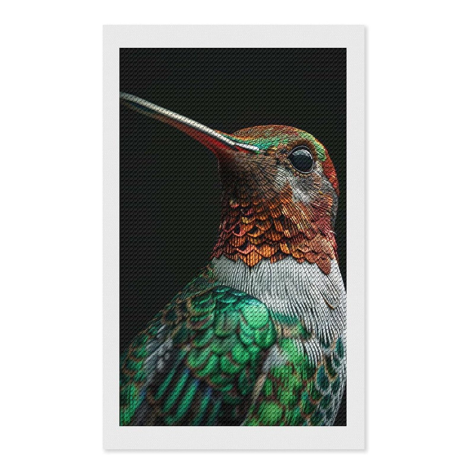 Junmoney Hummingbird Diamond Art Canvas 12"x20", for Adults, Pleasing Wall Art Project, Modern Decor, Gift Idea, Nice Detail and Sparkle