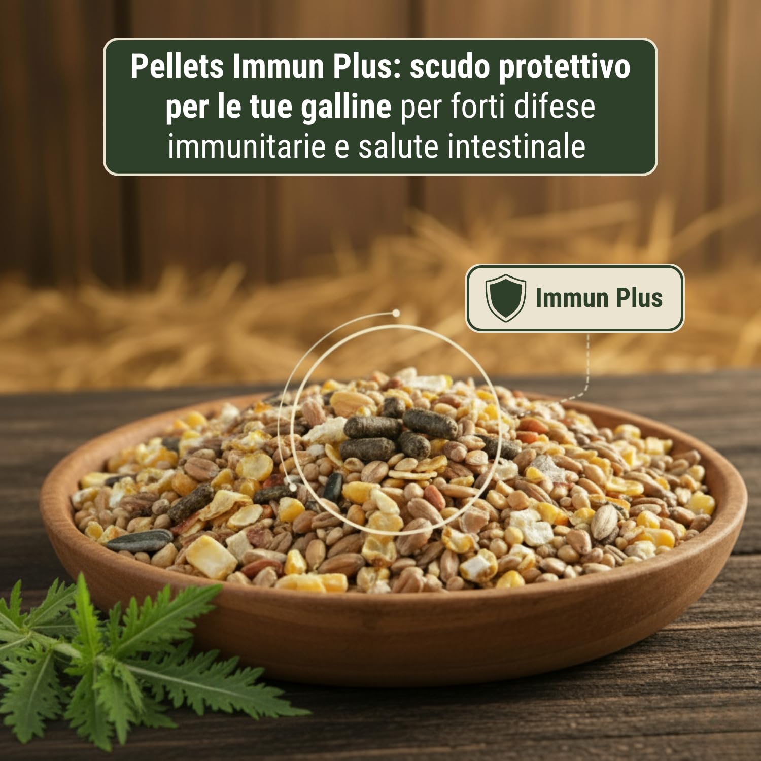 Leimüller Mangime per Galline Ovaiole Immun Plus 25 kg - Muesli con Pellet Vitaminici - Per Sistema Immunitario Forte & Vitalità - Premium Austria Senza OGM