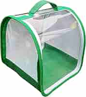 Gabbia Per Farfalle Pieghevole - Habitat Insetti 20x20x20 Cm Rete Trasparente