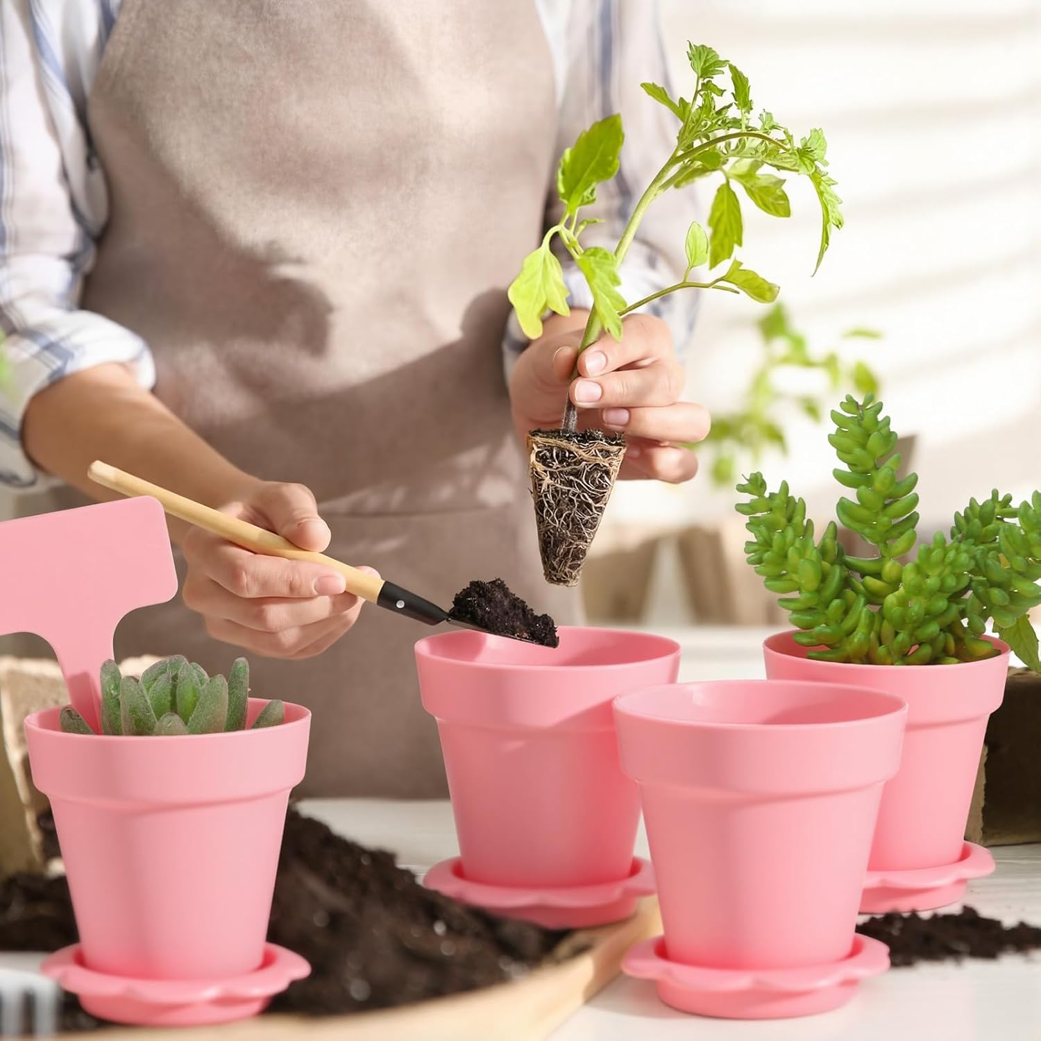 36 Packs Cupcake Plant Nursery Pots with Humidity Dome Small Flower Pots Plastic Planting Containers Cups with Saucers and Shovel for Indoor Outdoor Plant Succulent Display (Pink)