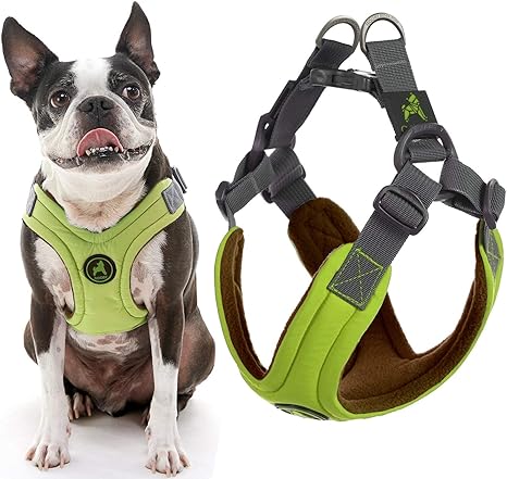 gooby dog harness amazon
