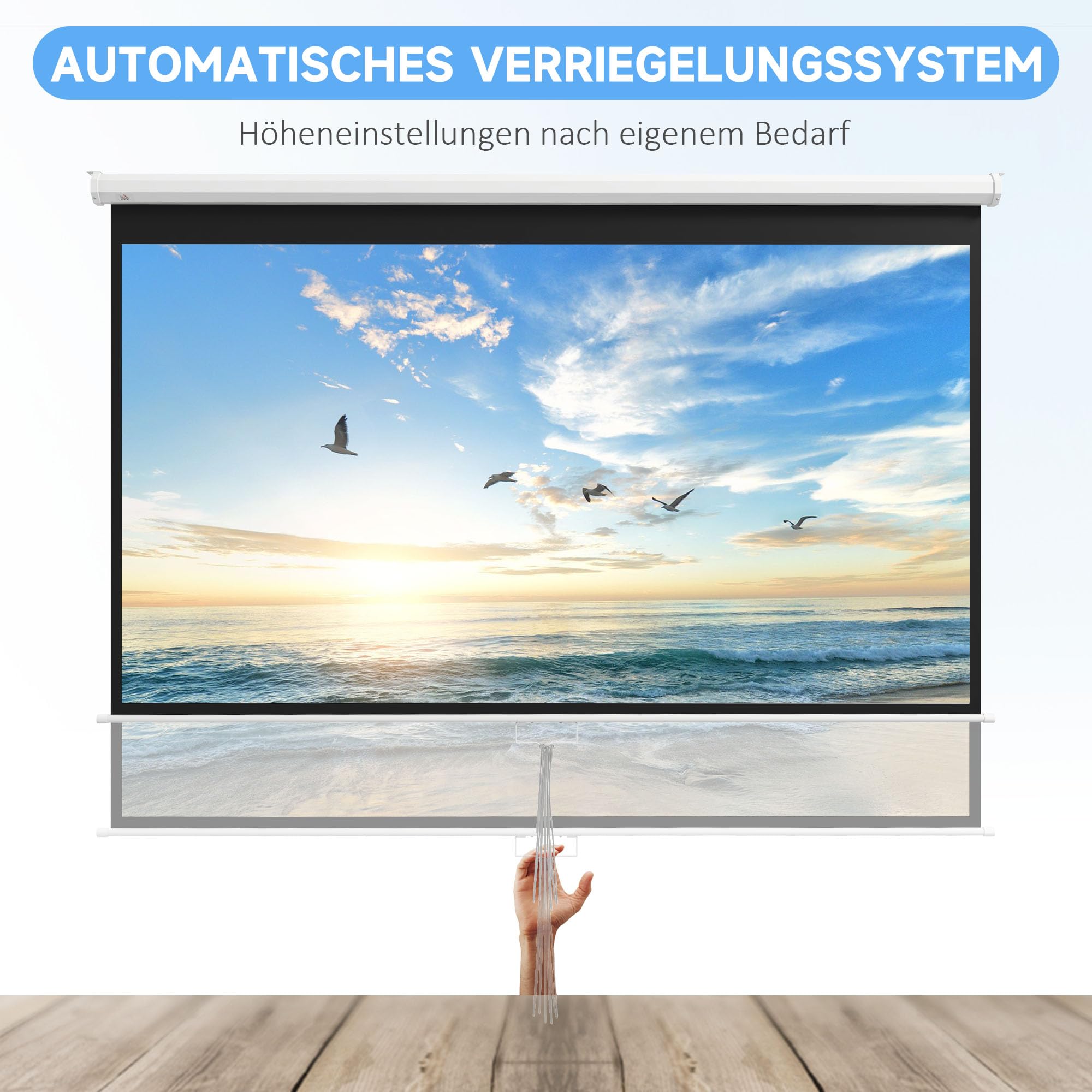 HOMCOM Beamer Leinwand 266 x 149 cm 120 Zoll 16:9 Rollo-Leinwand