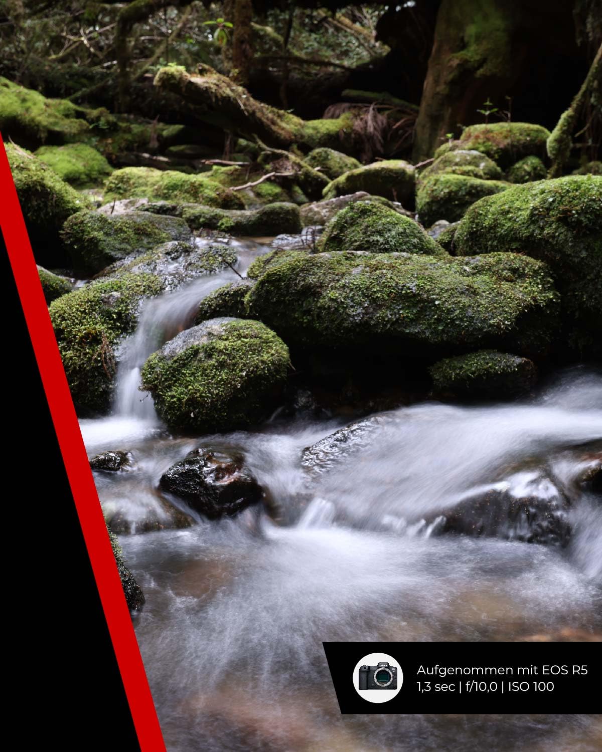 Canon Obiettivo RF 14-35mm F4L IS USM Zoom Ultra-Grandangolare Stabilizzatore Ottico 5 Stop