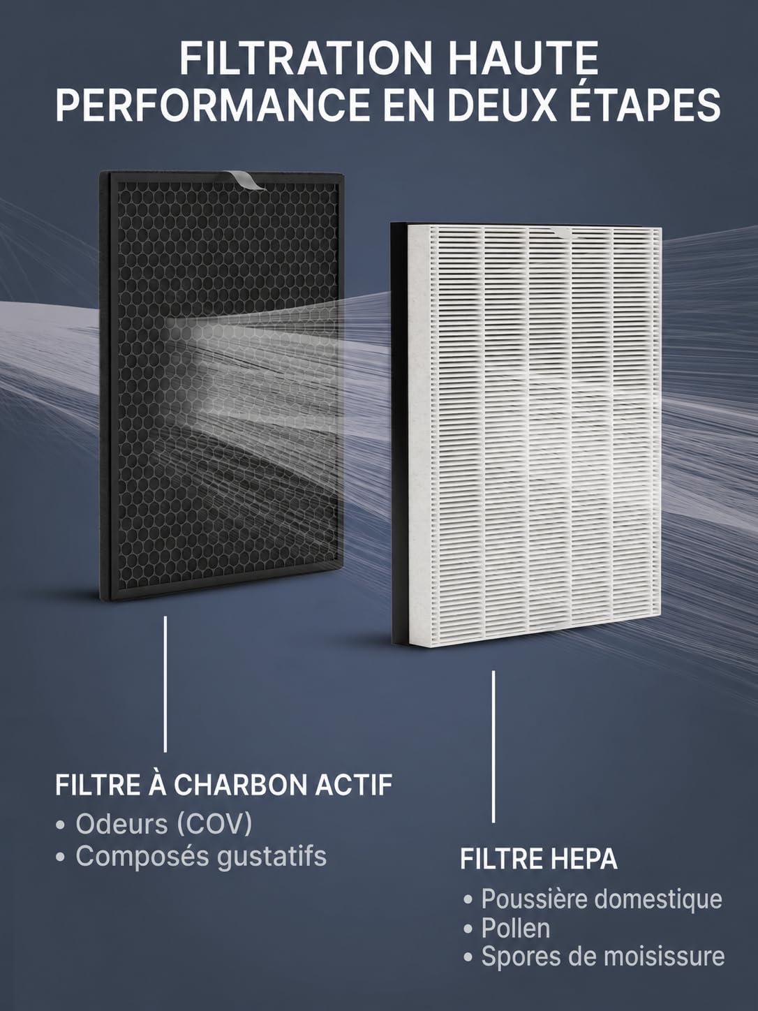 Comedes Filtre compatible avec le purificateur d'air Philips AC2889, AC2887, AC2882, AC3829 | Filtre HEPA et Filtre à charbon actif | utilisable pour remplacer Philips FY2422/30 et FY2420/30