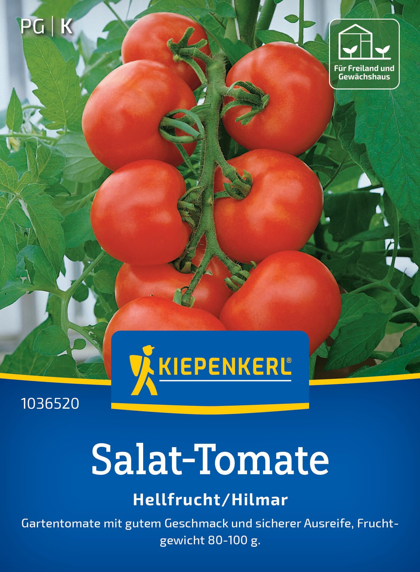 Kiepenkerl Salat-Tomatensamen Hellfrucht/Hilmar 1036520 – ertragreiche Sorte - fest & saftig - aromatisch - Saatgut, Samen Gemüse, Gemüsepflanzen
