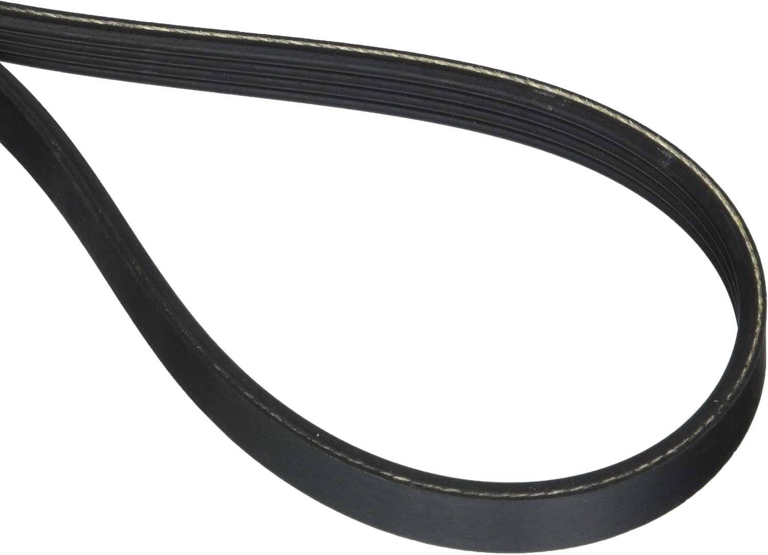 Motorcraft Drive Belt