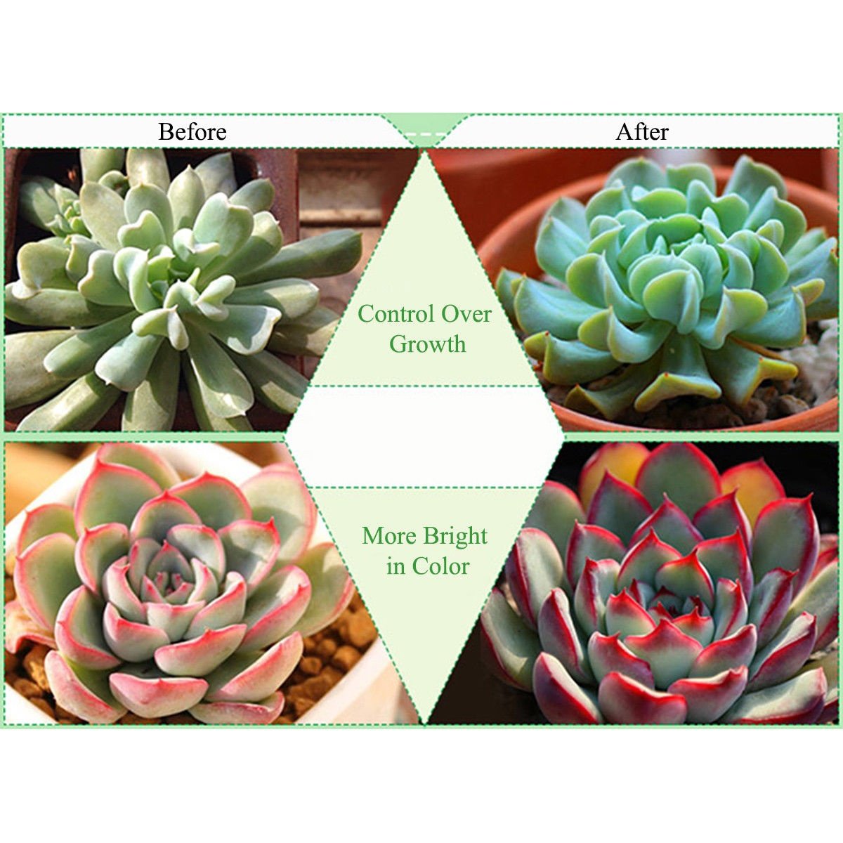 植物育成用LED蛍光灯 100本　 AGROS/P 約120cm 22W 中古 植物育成用LED蛍光灯 100本 AGROS/P 約120cm 22W 中古