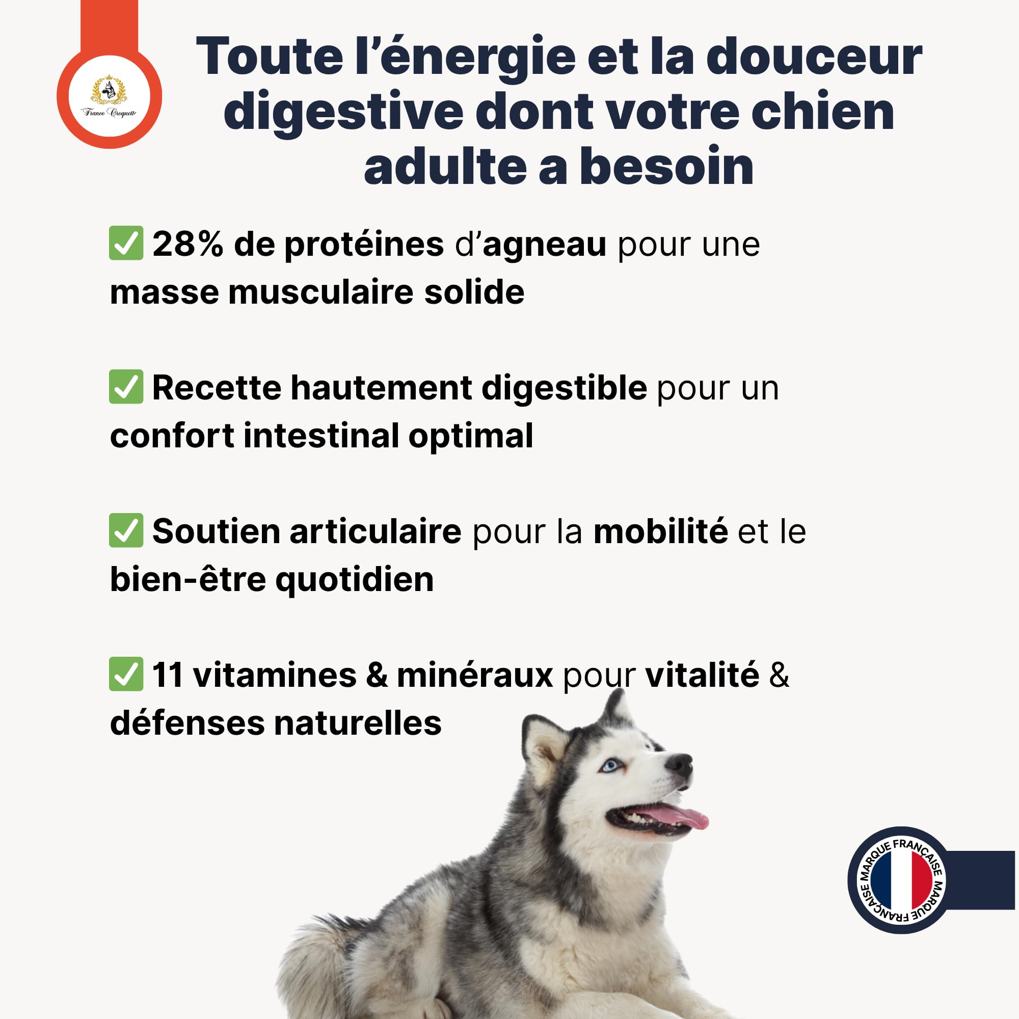 Croquettes hypoallergéniques Chien Adulte France Croquettes Royal Agneau – sans blé, hautement digestes, Riches en protéines, avec prébiotiques & probiotiques pour Flore intestinale Saine - 12KG