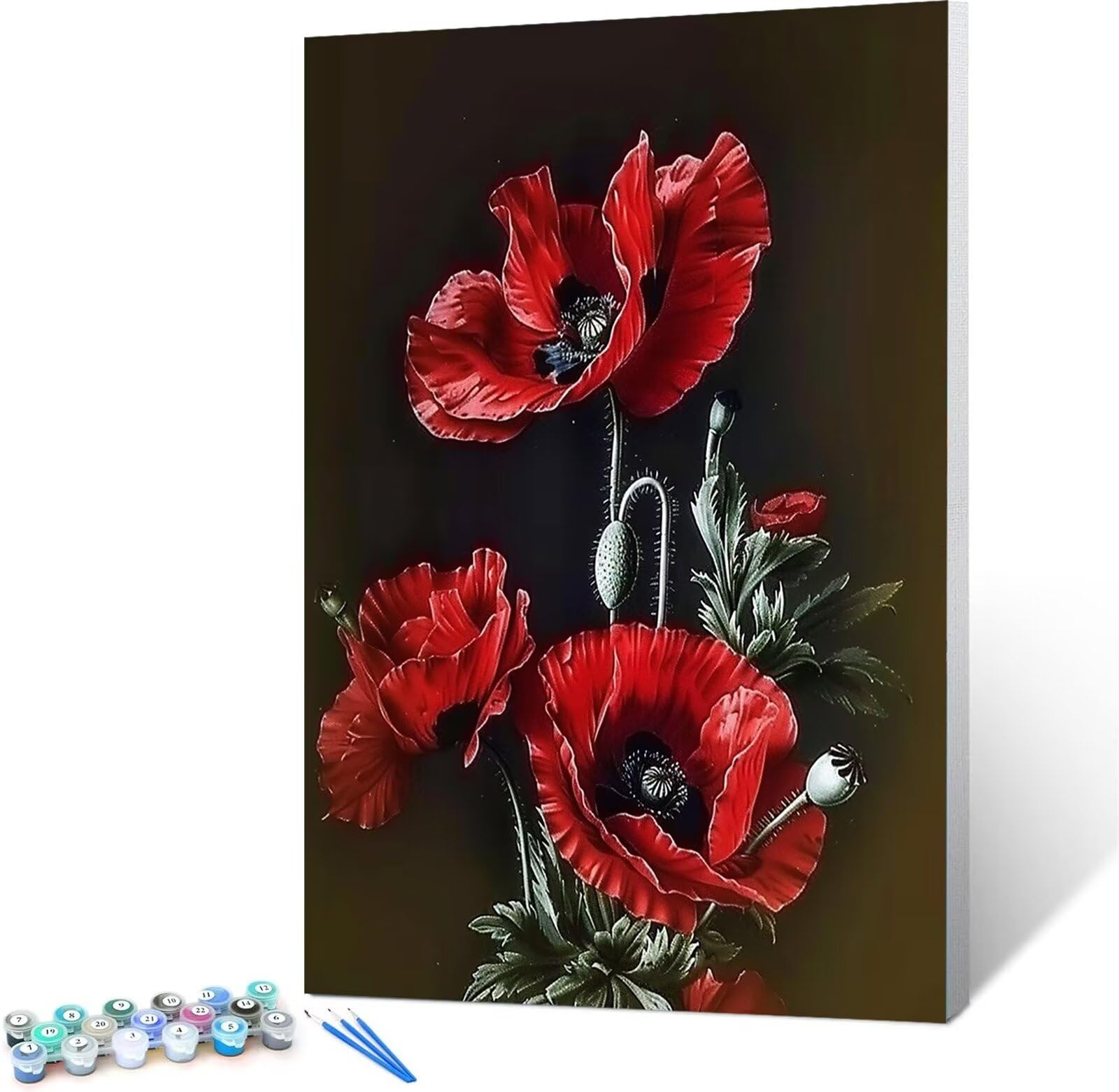 Kit di Pittura a Olio su Tela Fai-da-Te, Amichevole Papaveri Compagno Dipinto Ad Olio Su Tela con, Decorazioni per La Casa Dipingere con i Numeri per Adulti Bambini Fioritura 60x80cm (Con Scatola)
