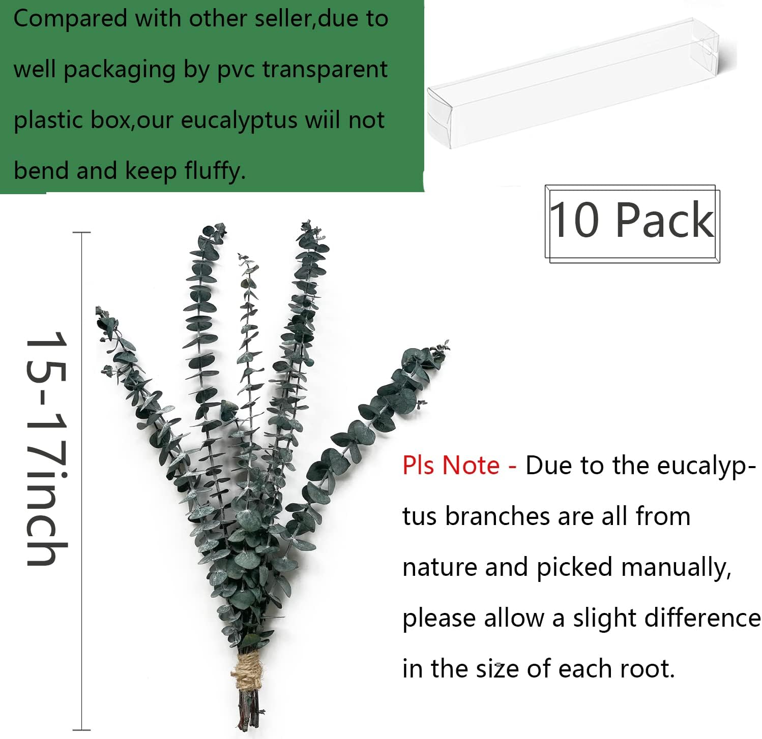10 Pack Natural Dried Eucalyptus Bundle,17 inch/45cm Preserved Fresh Eucalyptus Branches Greenery Plants for Natural Aromatherapy to Your Shower,Also for Flower Arrangements Wedding Home Decor