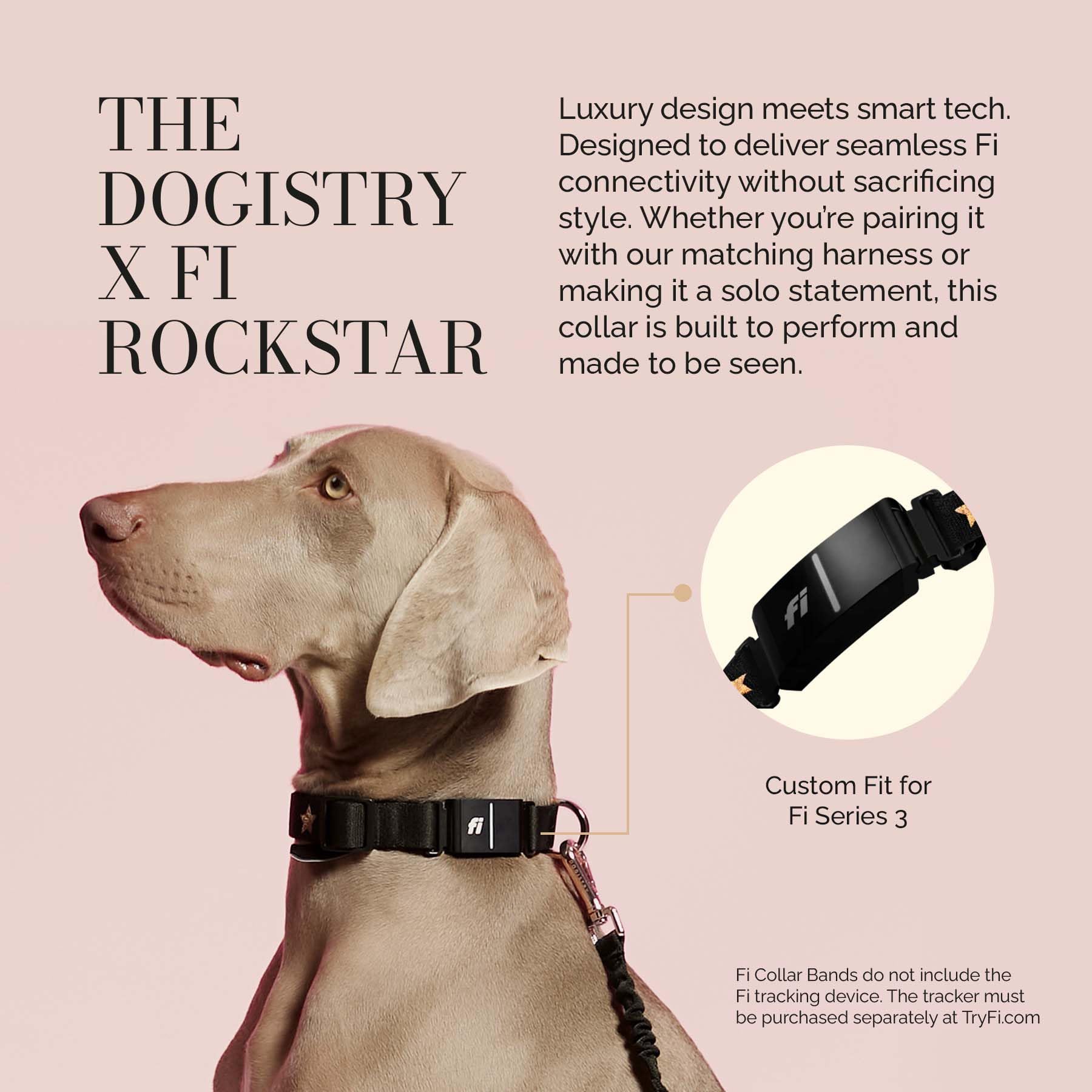 The Fi Rockstar Collar - Luxury Design Meets Smart Tech - Crafted for Fi Series 3/3+ - Seamless Style & Craft - image 2