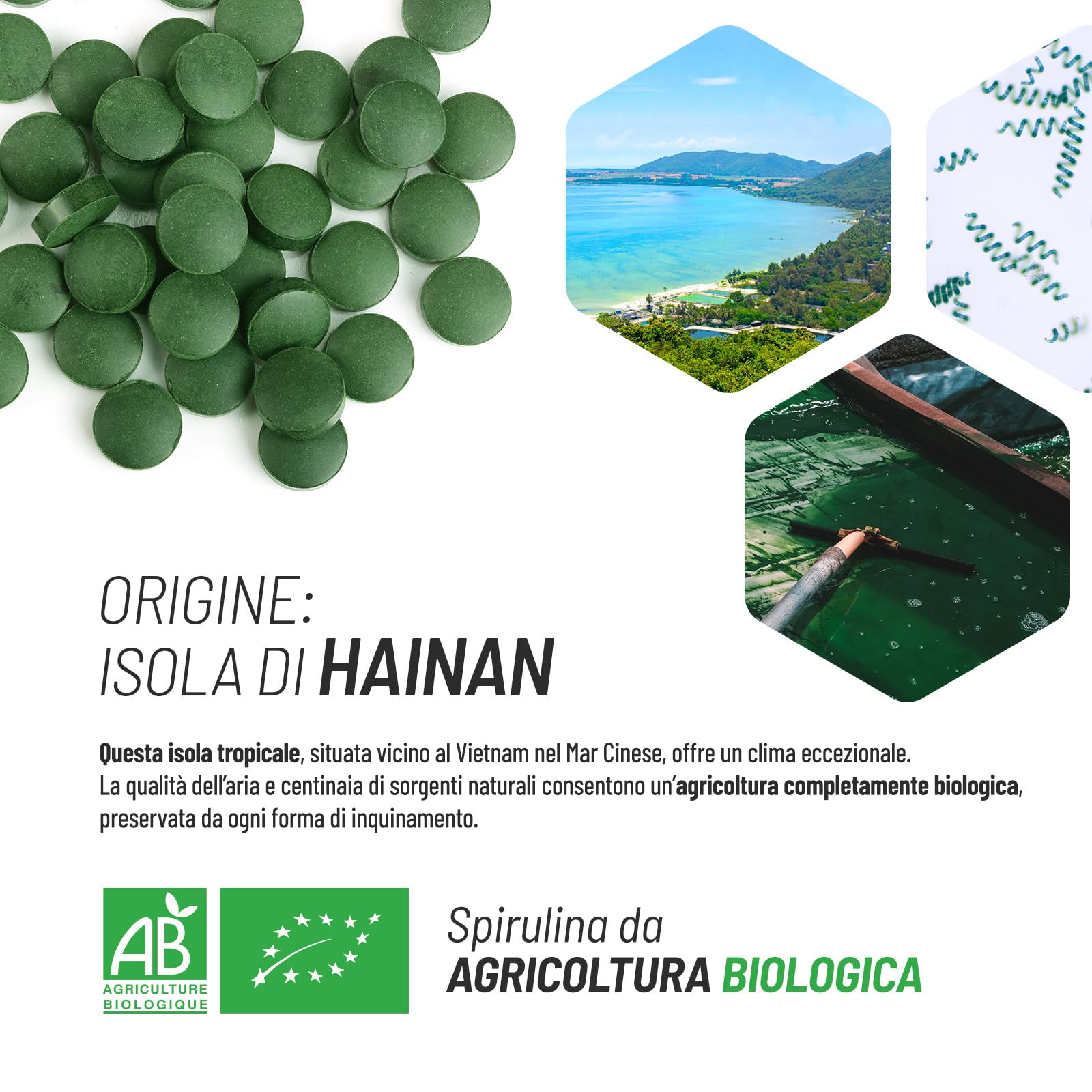 Spirulina Biologica 500mg - 500 compresse