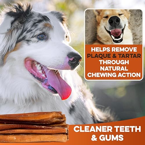 Miniatura 6 de Bully Sticks para perros, de bajo olor, golosina natural para perros, alternativa de cuero crudo de carne de res de larga duración, palitos