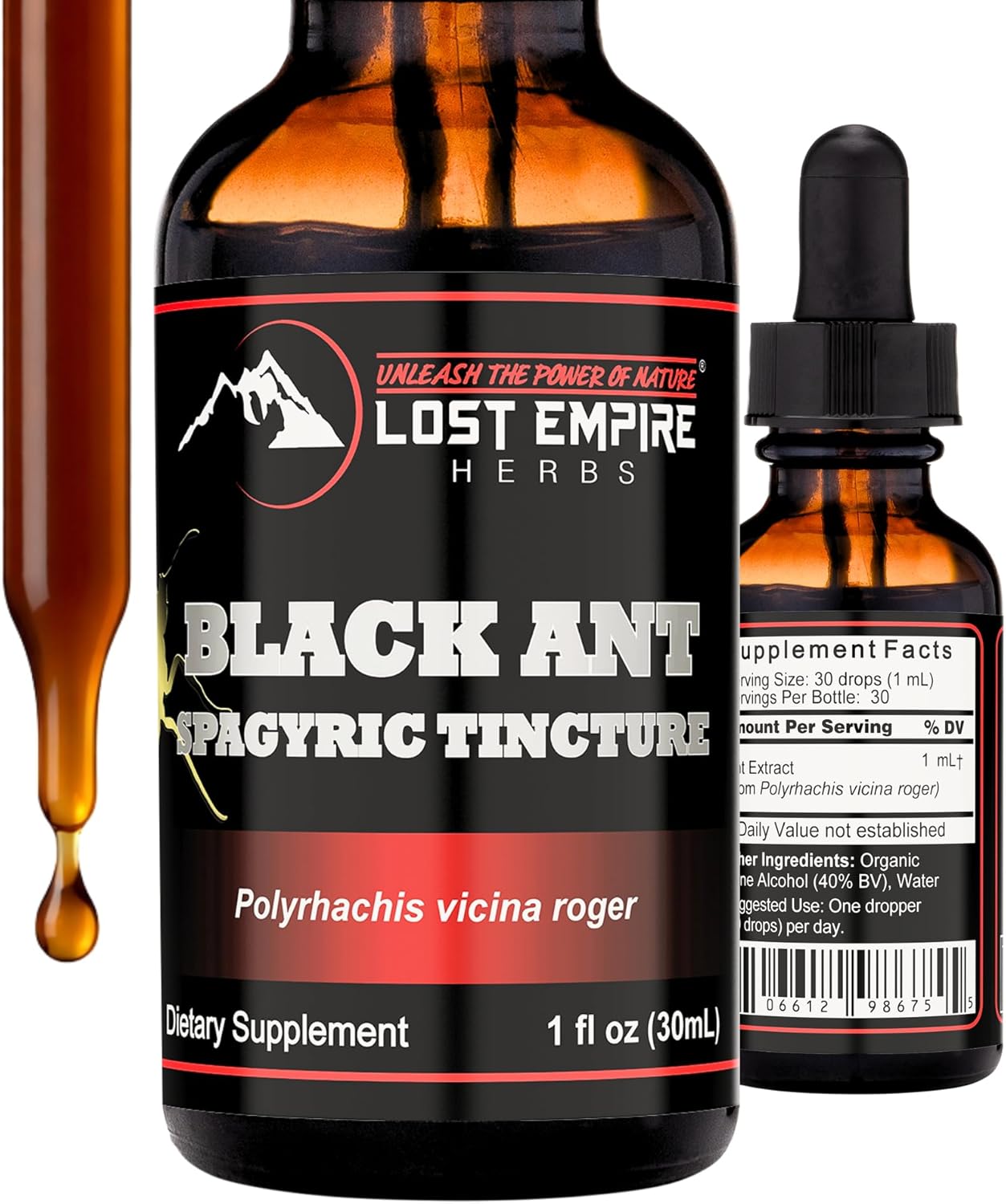 Lost Empire Herbs Polyrhachis Black Ant Extract Spagyric Tincture (1 fl oz) Energy | Strength | Performance | Pre-Workout