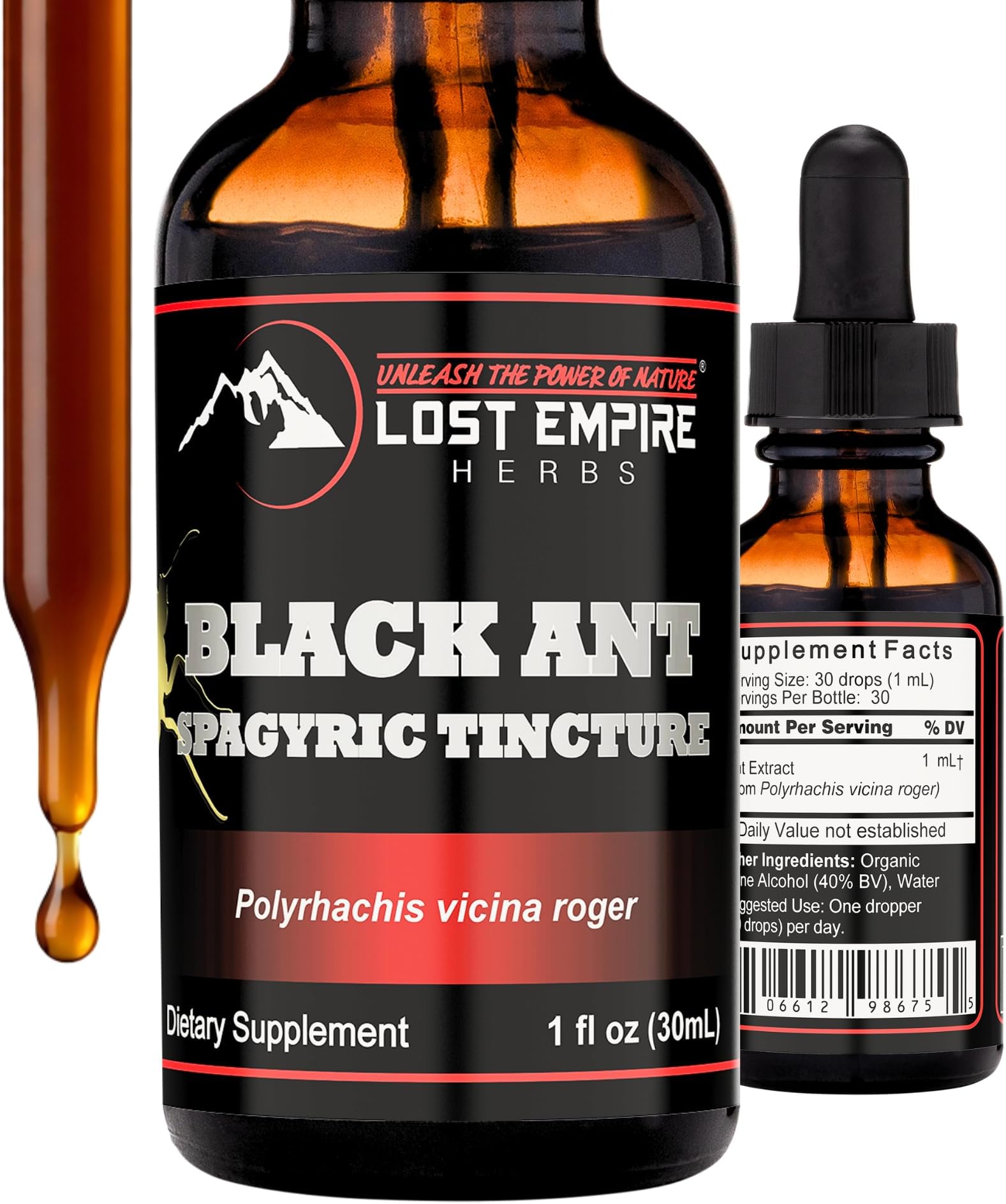 Lost Empire Herbs Polyrhachis Black Ant Extract Spagyric Tincture (1 fl oz) Energy | Strength | Performance | Pre-Workout