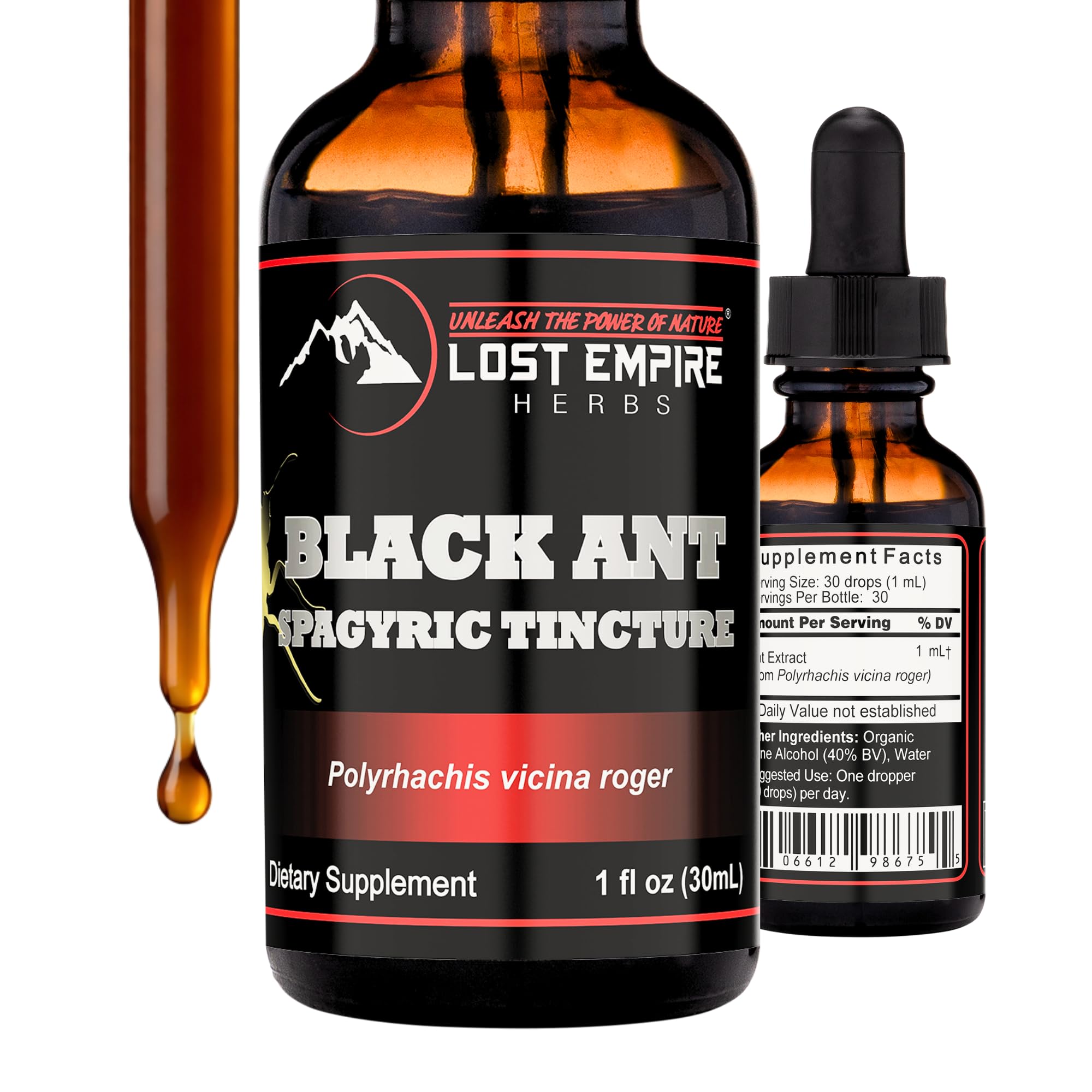 Lost Empire Herbs Polyrhachis Black Ant Extract Spagyric Tincture (1 fl oz) Energy | Strength | Performance | Pre-Workout