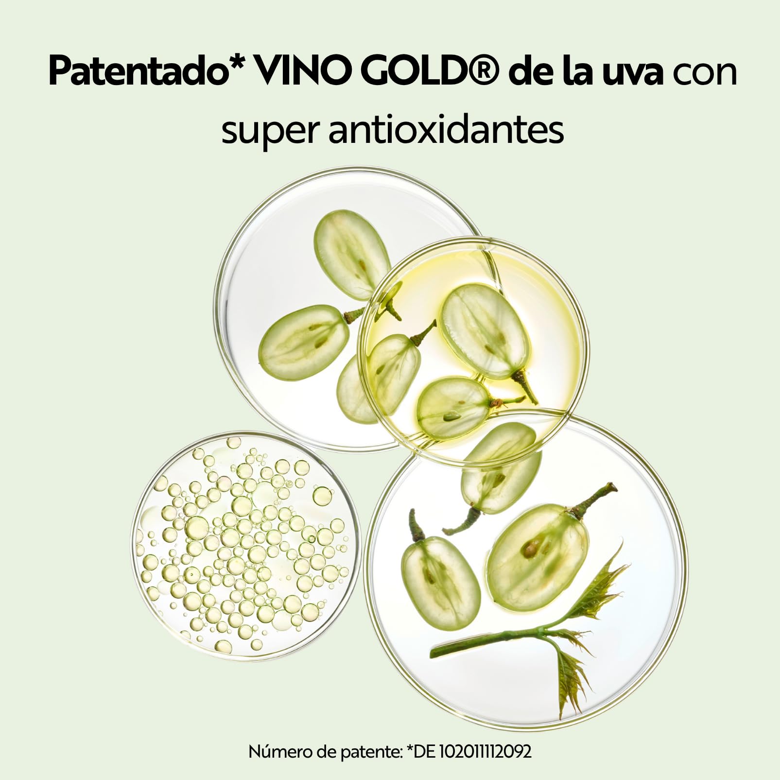 M. Asam VINO GOLD Crema Facial 24h (100 ml) – Crema hidratante facial de día & de noche con Aloe Vera y Aceite de Pepita de Uva Bio, Antiarrugas & reafirmante, Para piel normal a mixta, vegana