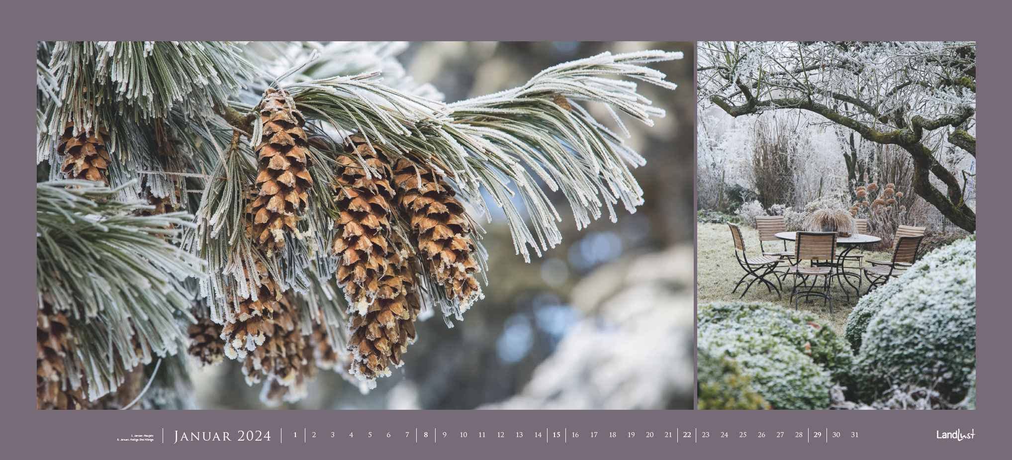 Landlust Panorama: Garten-Kontraste 2024 Wand-Kalender - Panorama-Kalender - Fotografie - Gartenkalender 110x50