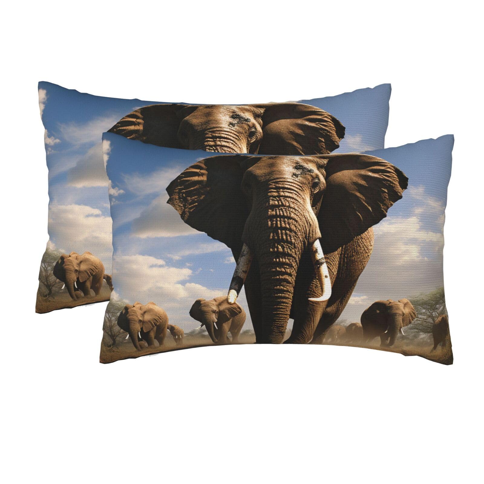 2 Pack Queen Size Pillow Cases for Hair and Skin Soft Breathable Pillow Case Covers with Hidden Zipper Ferocious Elephant Pillowcase 20x30 Inches Pillow Cover for Sleeping Gift